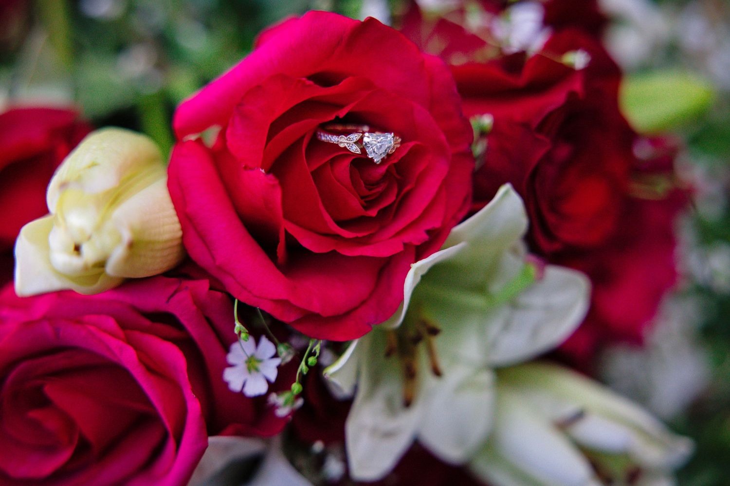 Vibrant red roses and delicate white baby's breath flowers blend together in a romantic floral arrangement.