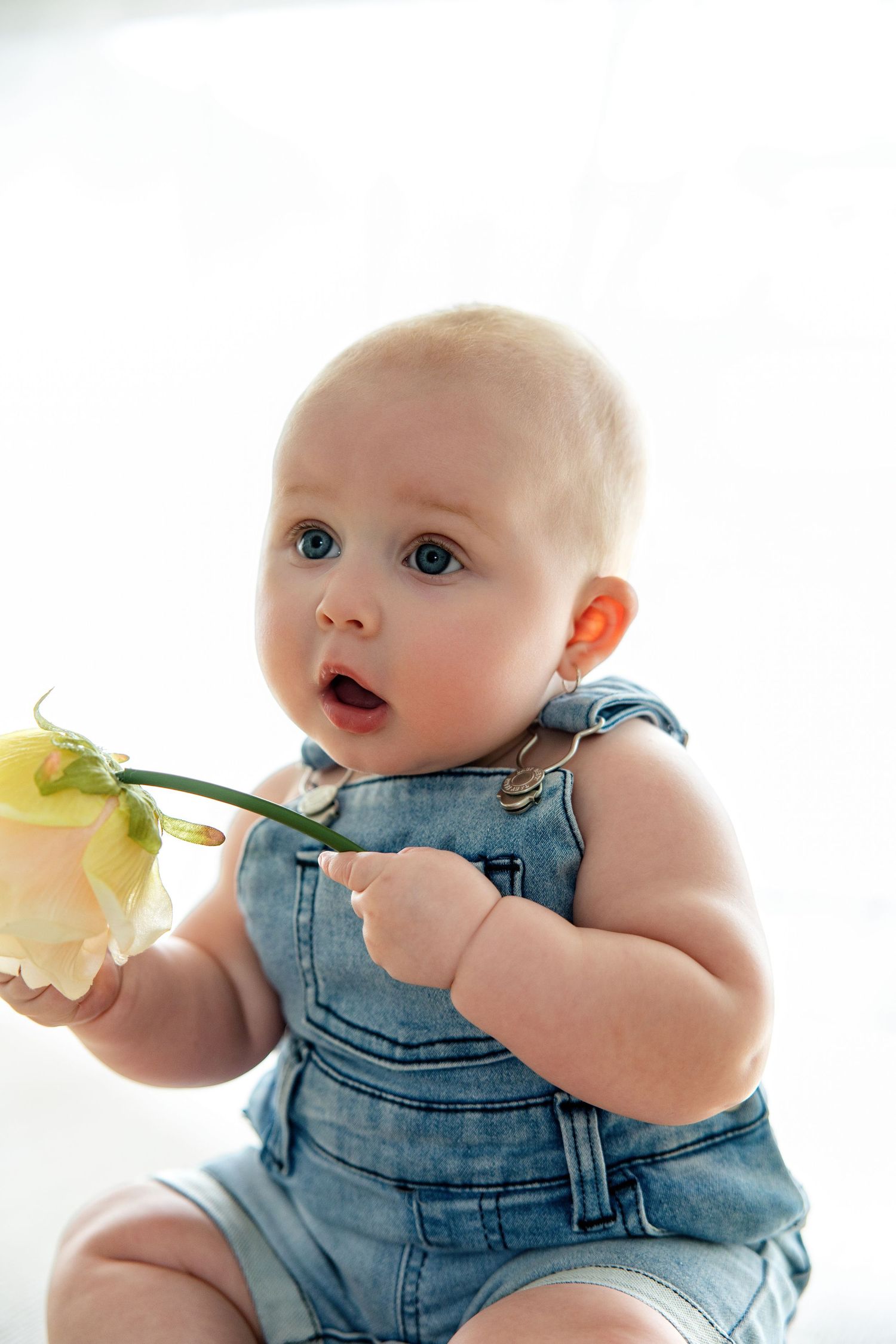 Adorable baby in denim overalls holding a yellow rose, looking curious against a white background.