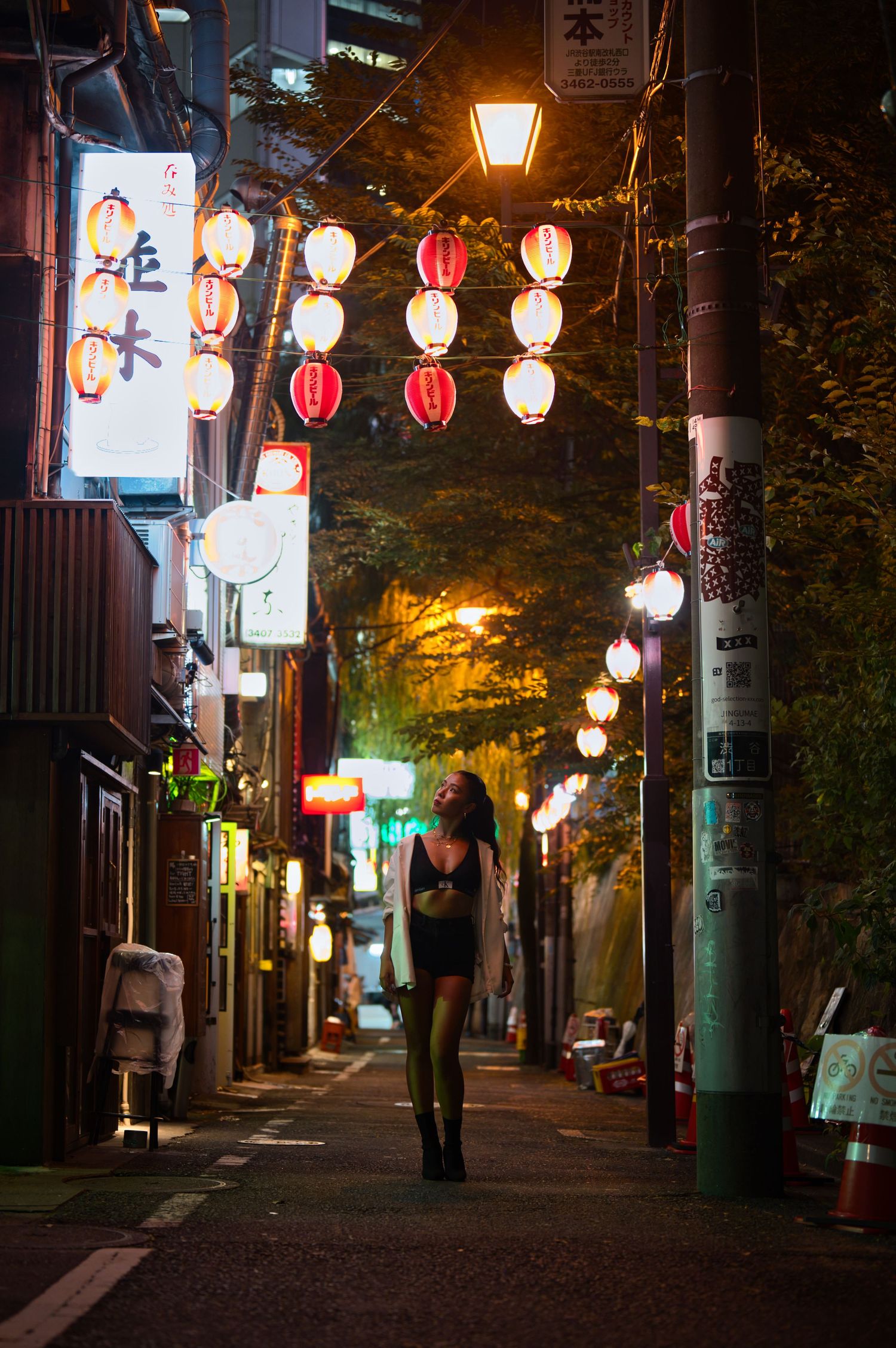 Atmospheric nighttime alley in Japan with glowing red and white paper lanterns.