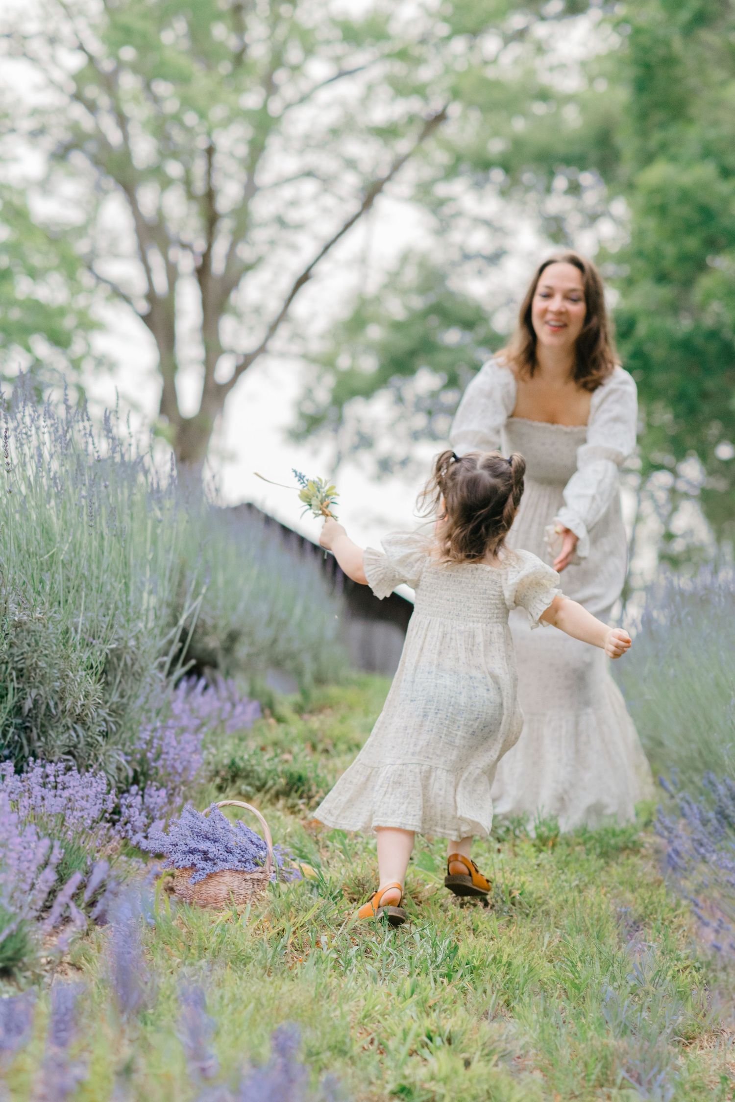 A person in a flowing white dress twirls gracefully among blooming purple lavender flowers in a garden setting.
