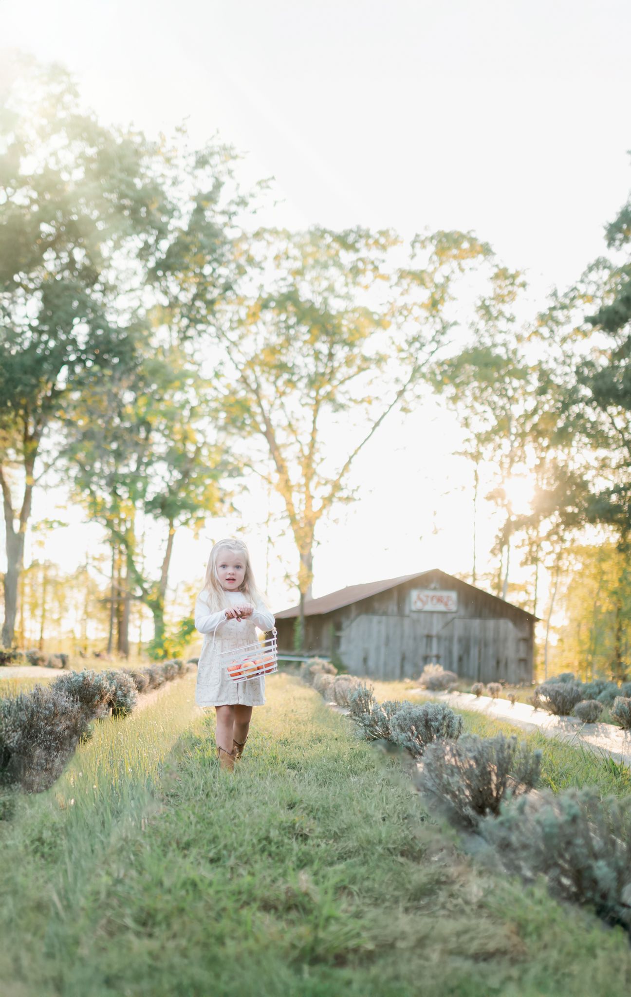 Scenic outdoor family photoshoot location with rustic barn and sage brush during golden hour.