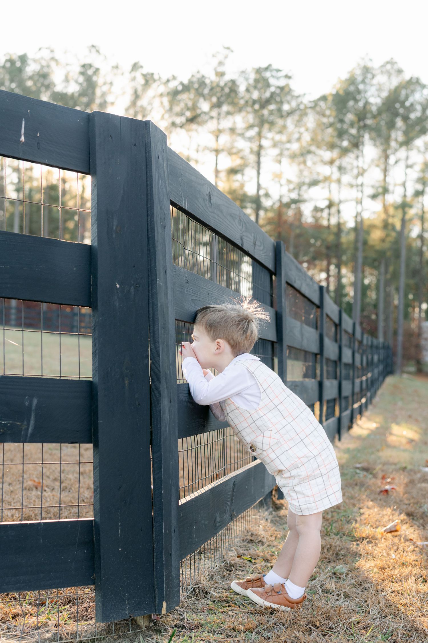 A young child in a plaid dress peeks through a black wooden farm fence surrounded by tall pine trees.
