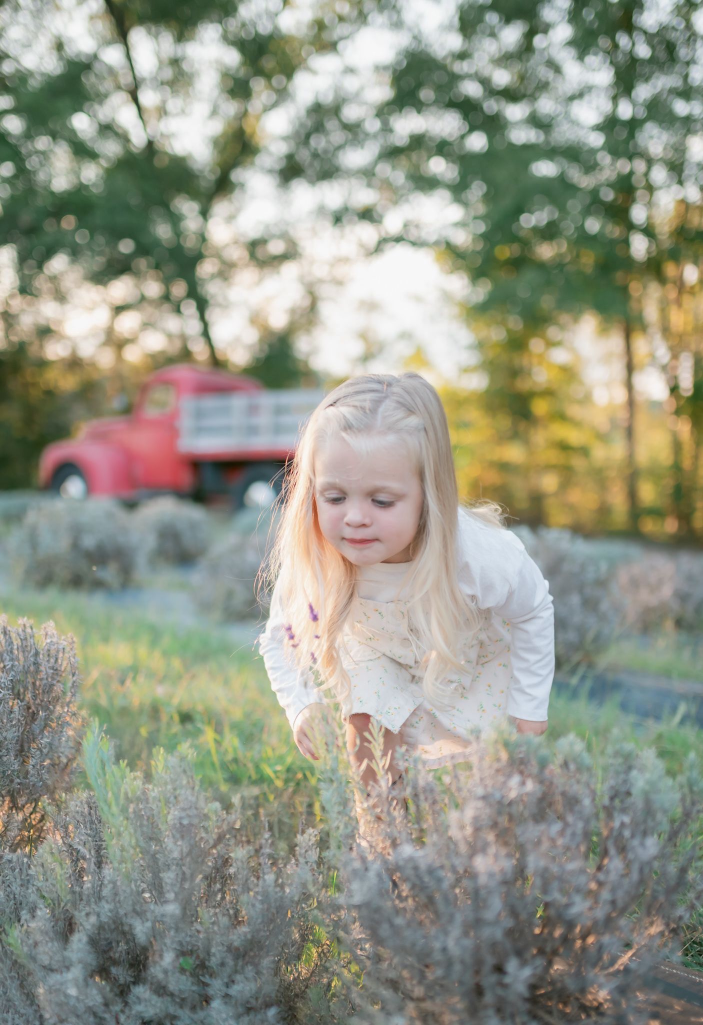 Young child exploring dried plants in a natural outdoor setting during autumn.