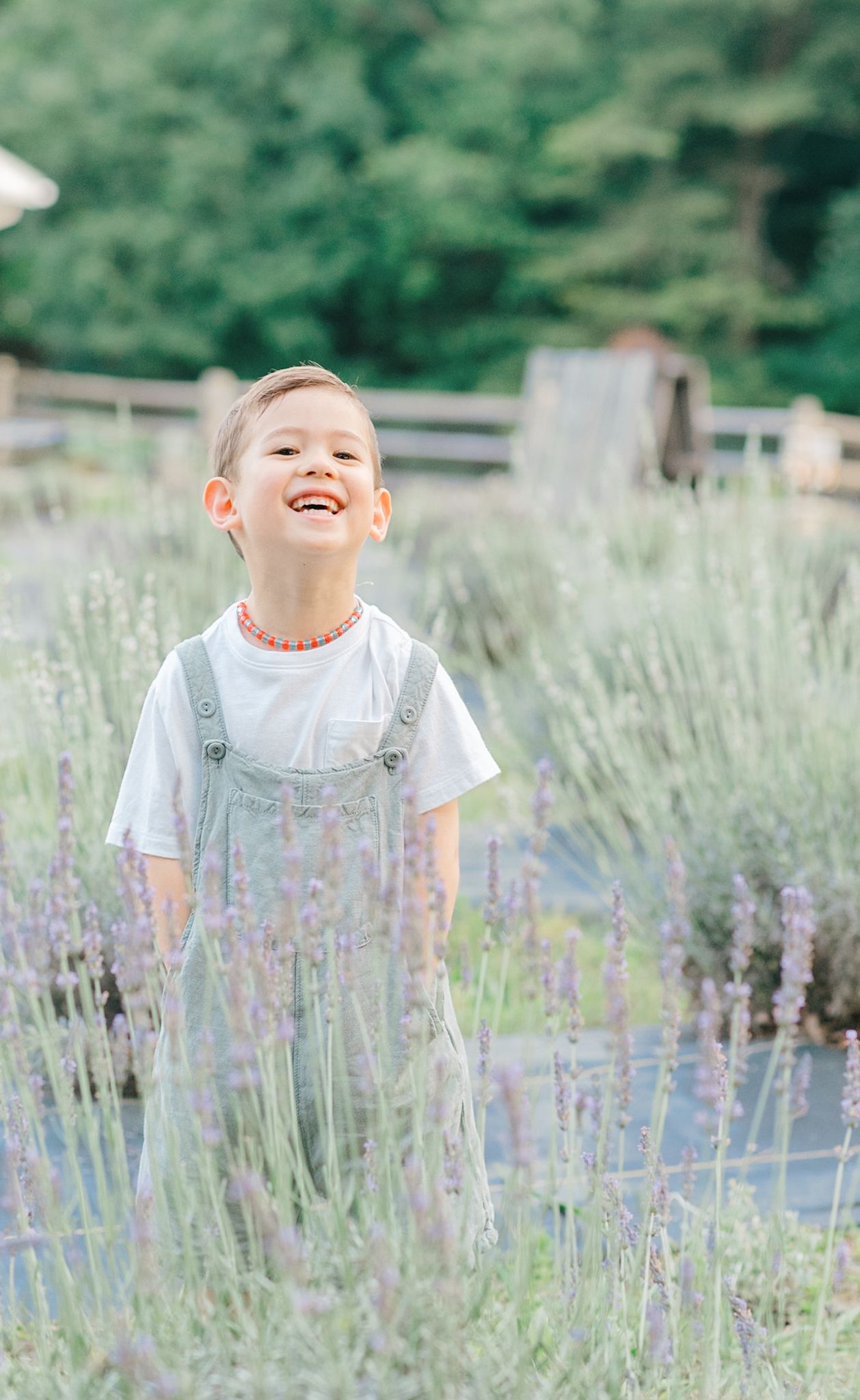 A joyful moment captured in a lavender field on a bright summer day.