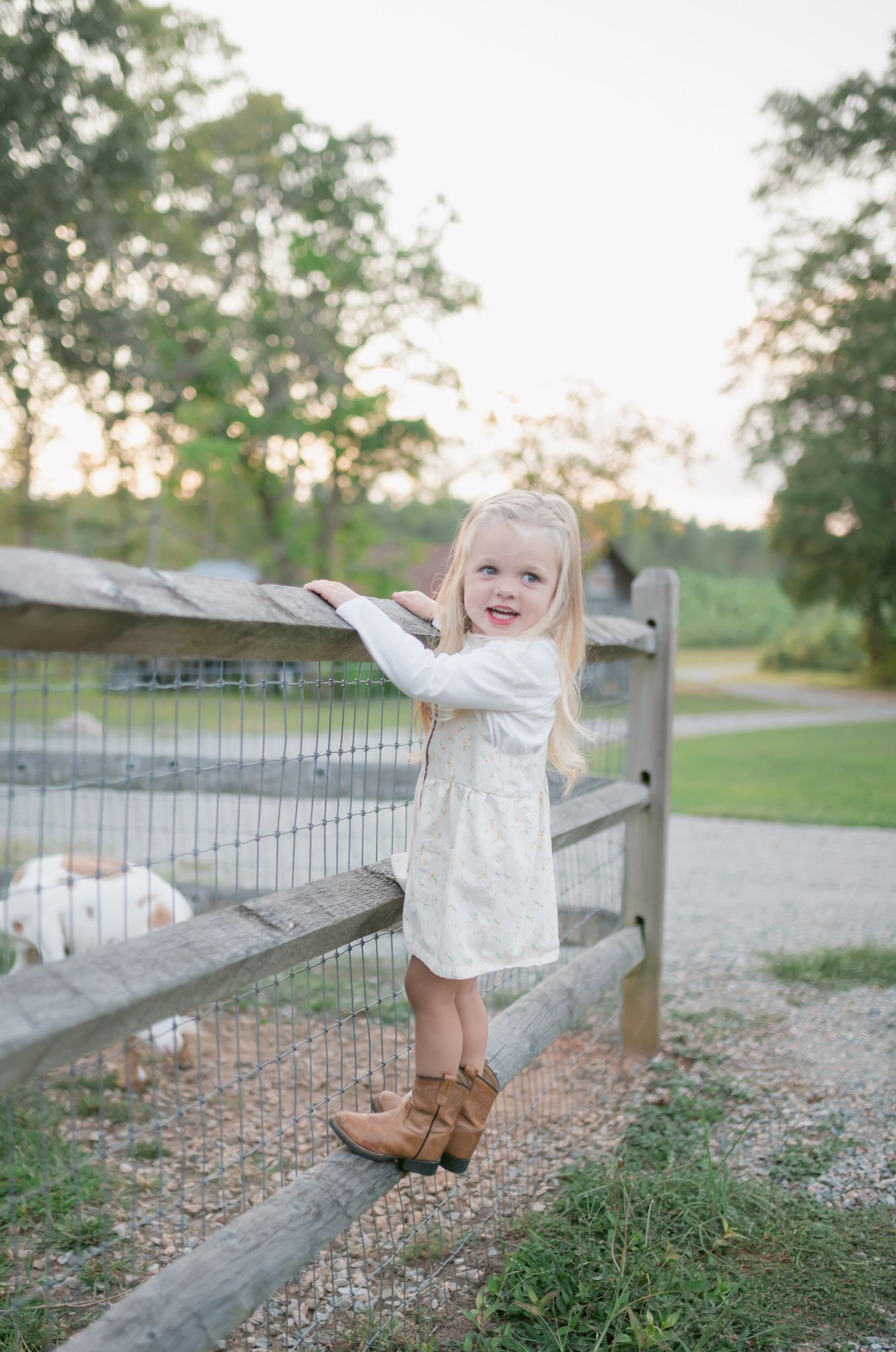 Child in white dress playing along a rustic wooden fence at sunset.