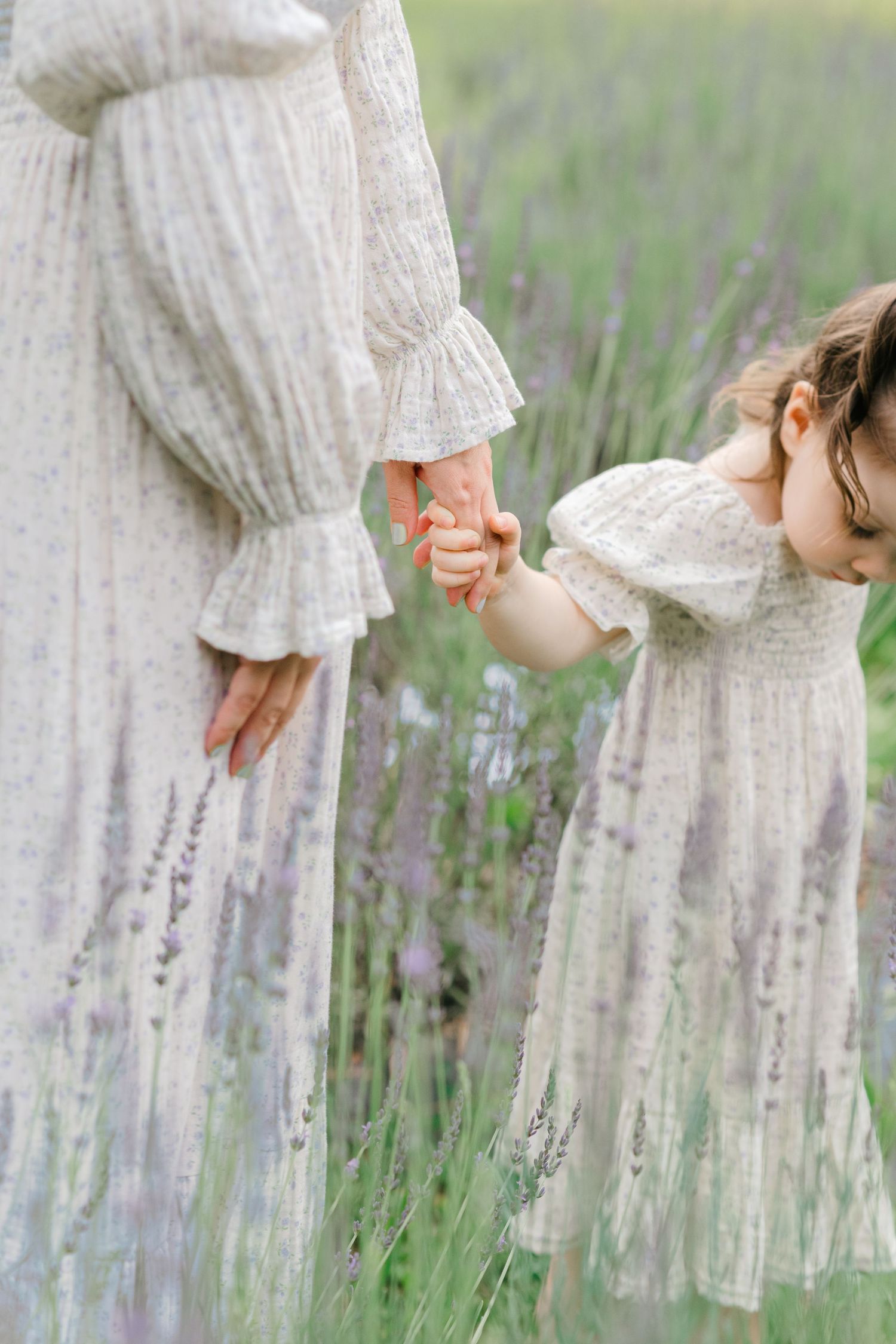 Close-up details of white lace dresses among lavender flowers in a garden.