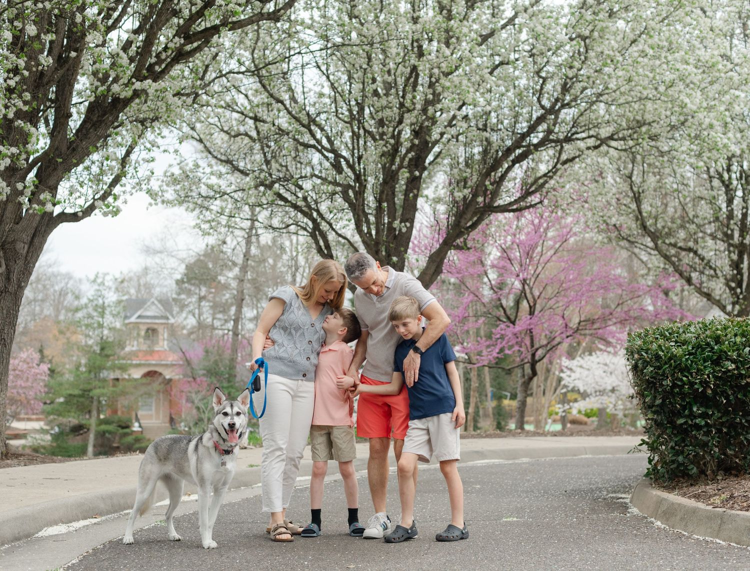 Family with two kids and a husky dog posing on a tree-lined street with spring blossoms in bloom.