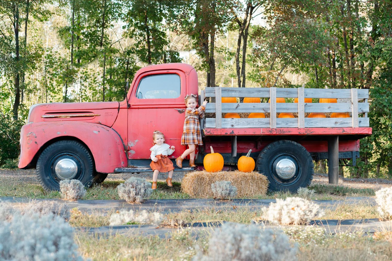 Vintage red pickup truck decorated with fall pumpkins and autumn decor on rustic wooden boards at a farm.