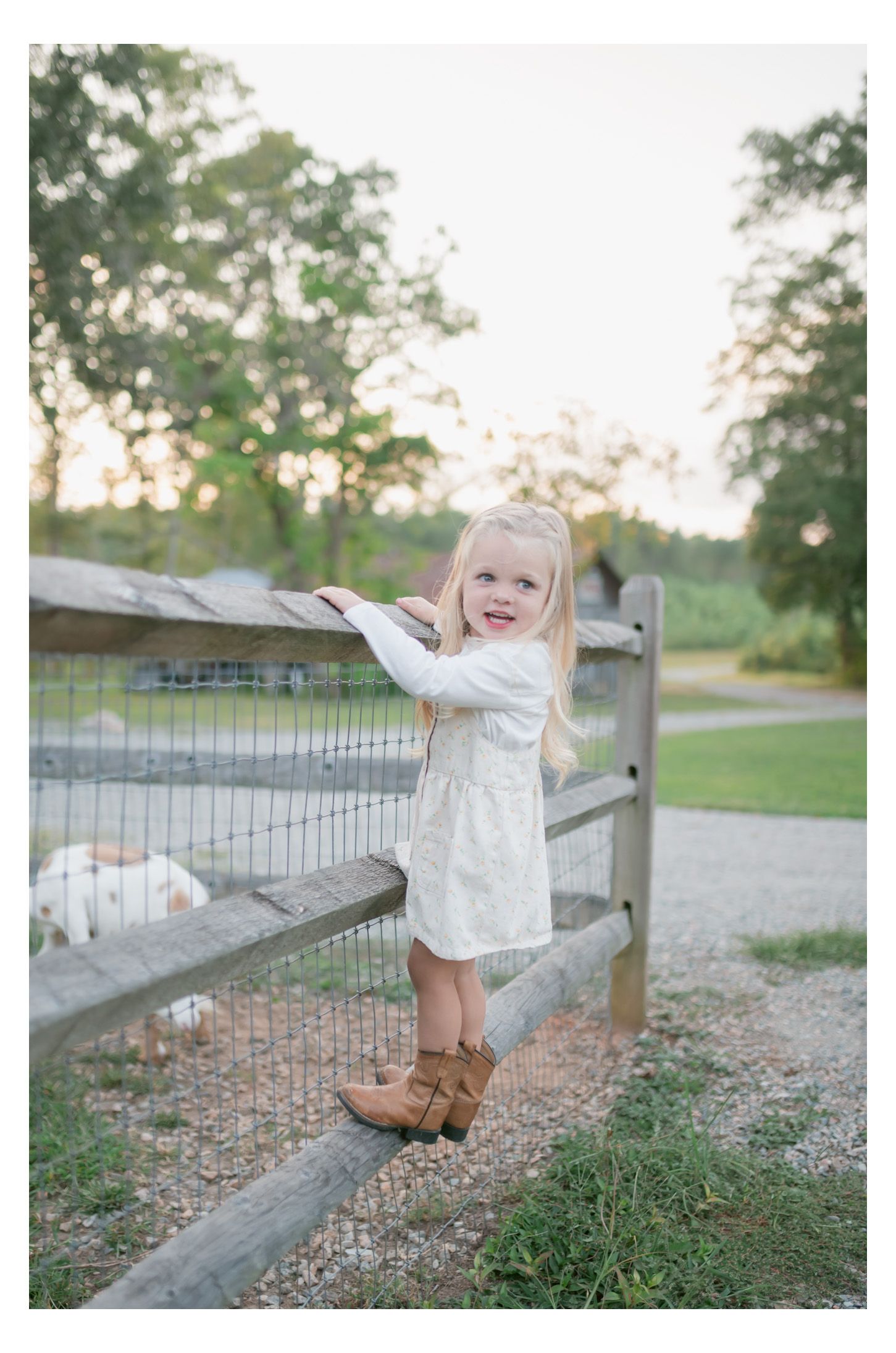 Young child in white dress plays along wooden fence during outdoor countryside photoshoot.