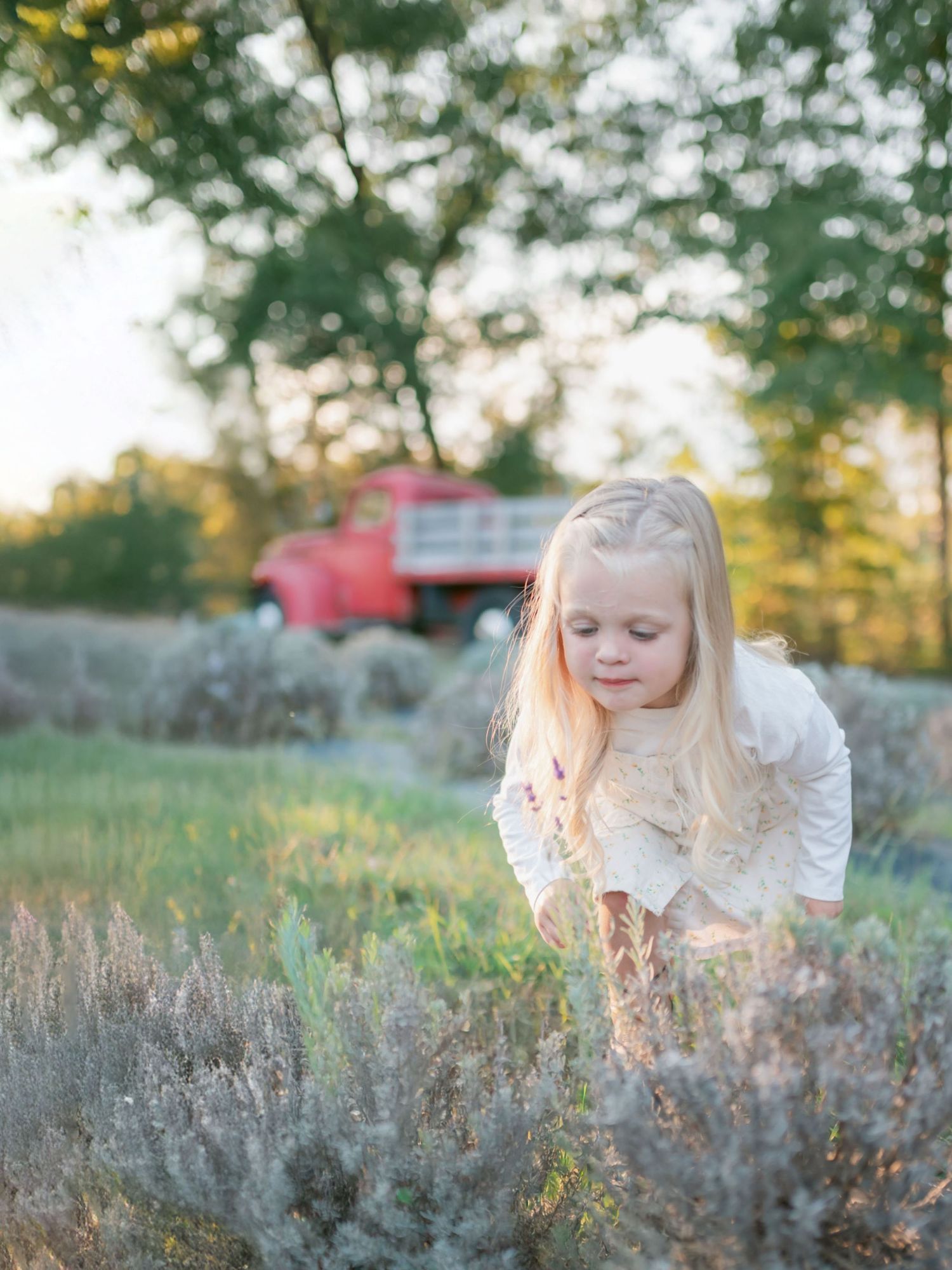 A person in a white dress bends down to smell purple wildflowers in a meadow during golden hour.