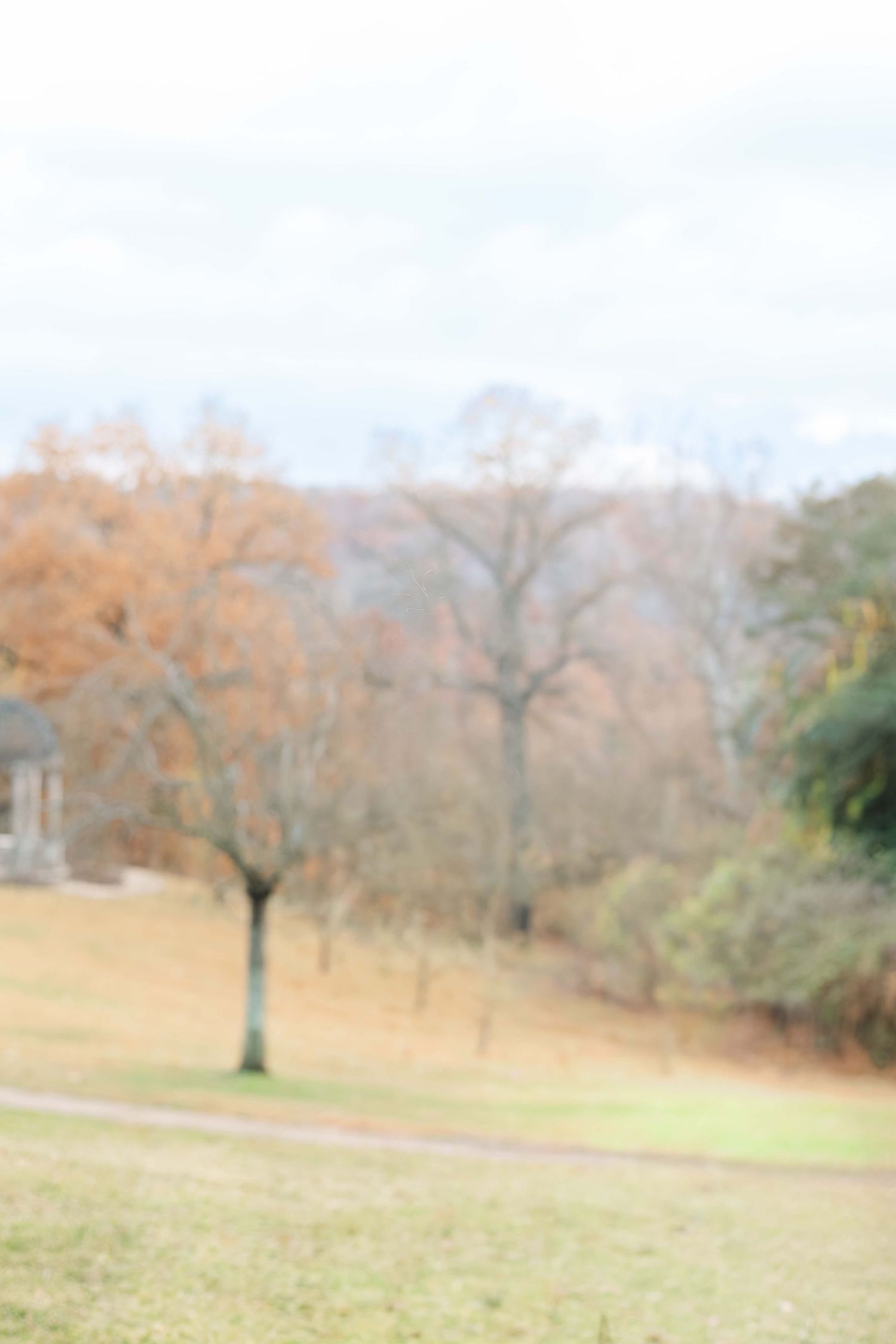 Blurry autumn park scene with bare trees, orange foliage, green grass, and a cloudy sky in a serene outdoor setting.