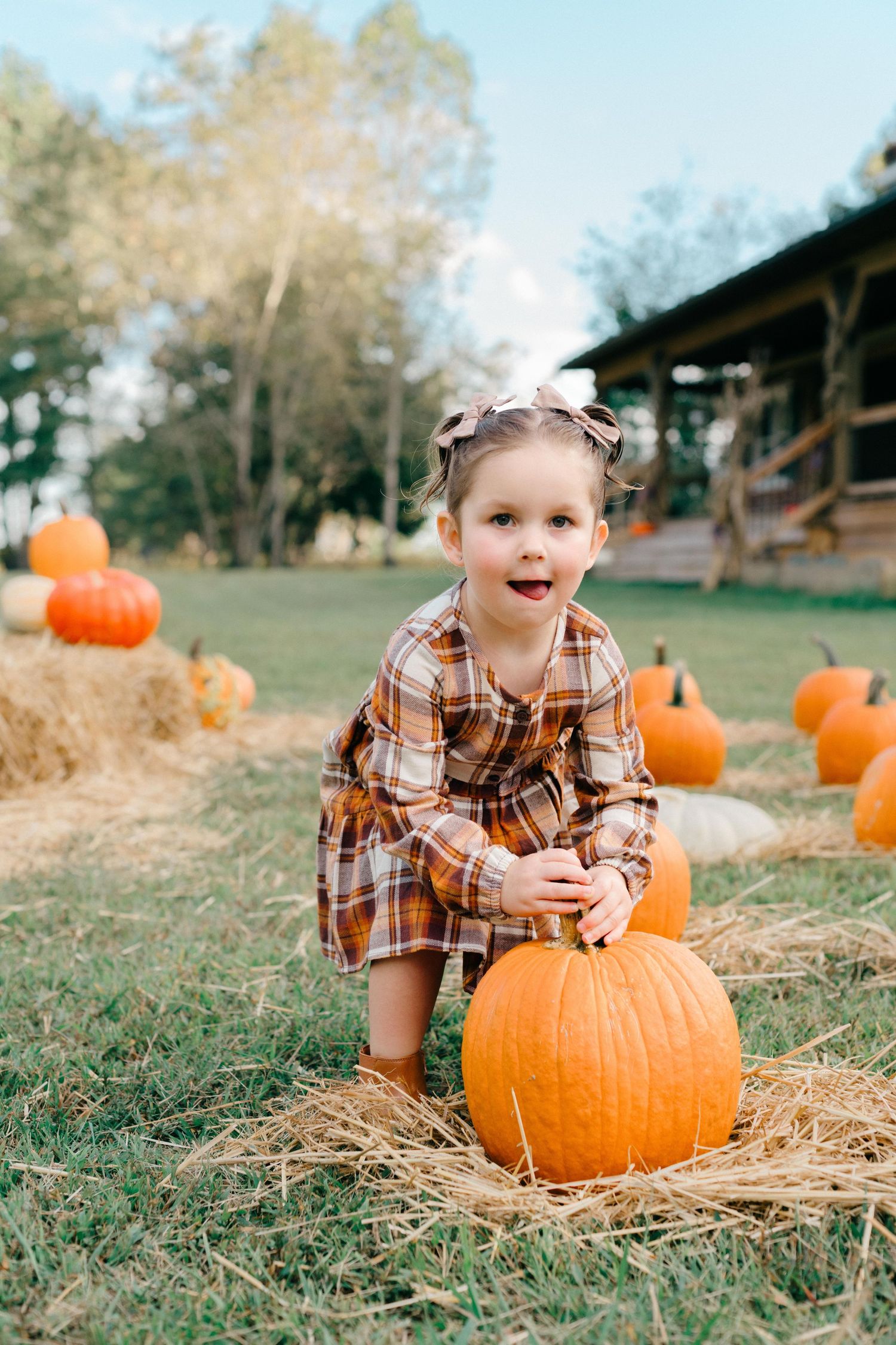 A child plays with autumn pumpkins on hay bales at a rustic outdoor pumpkin patch setting.