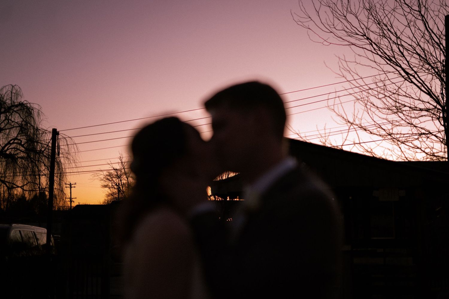 A romantic silhouette of a couple against a pink and orange sunset sky with power lines and bare tree branches visible.