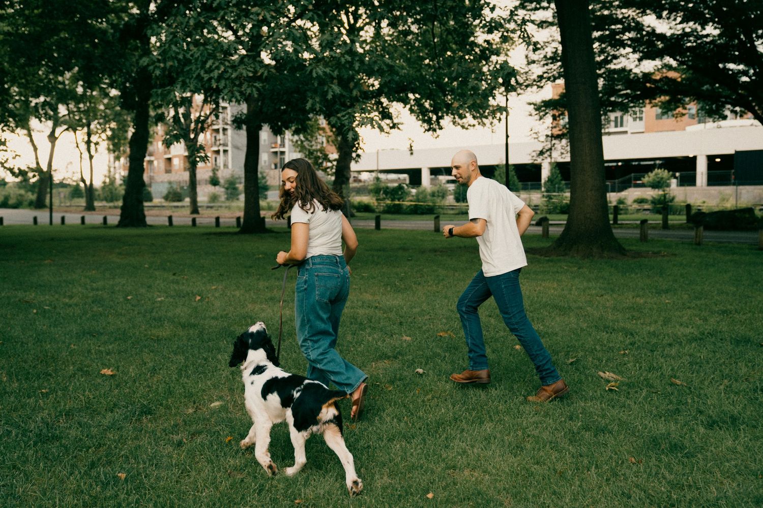 People playing and training with a black and white dog in a grassy park during golden hour lighting.