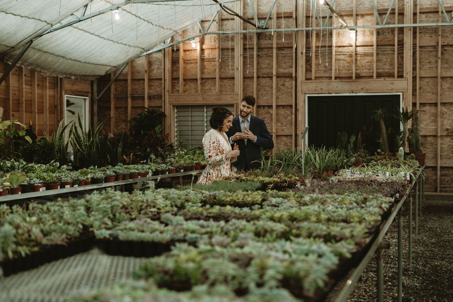 A couple shares an intimate moment among greenhouse plants and seedlings.