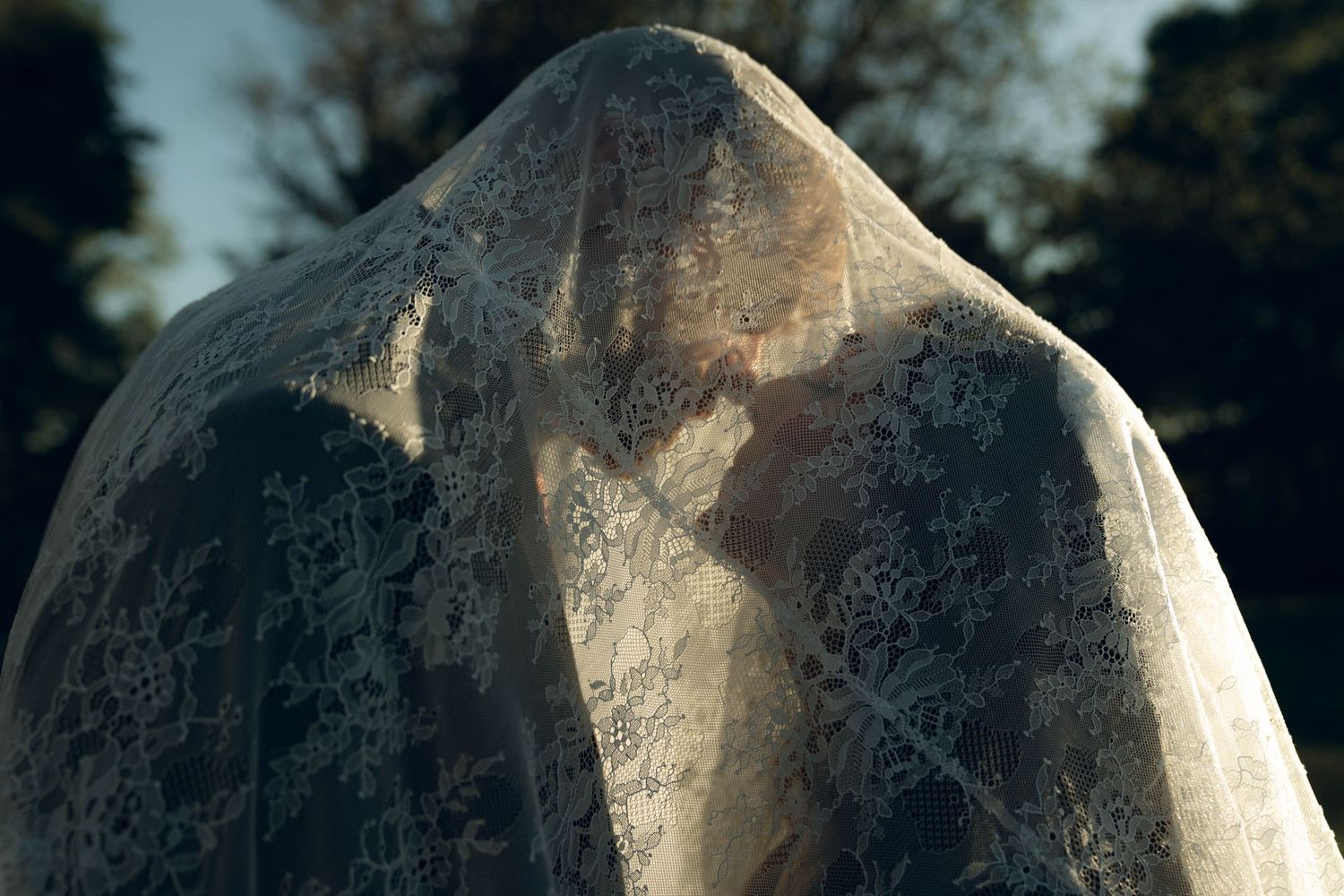 Close-up detail of intricate lace wedding veil pattern backlit by sunlight.