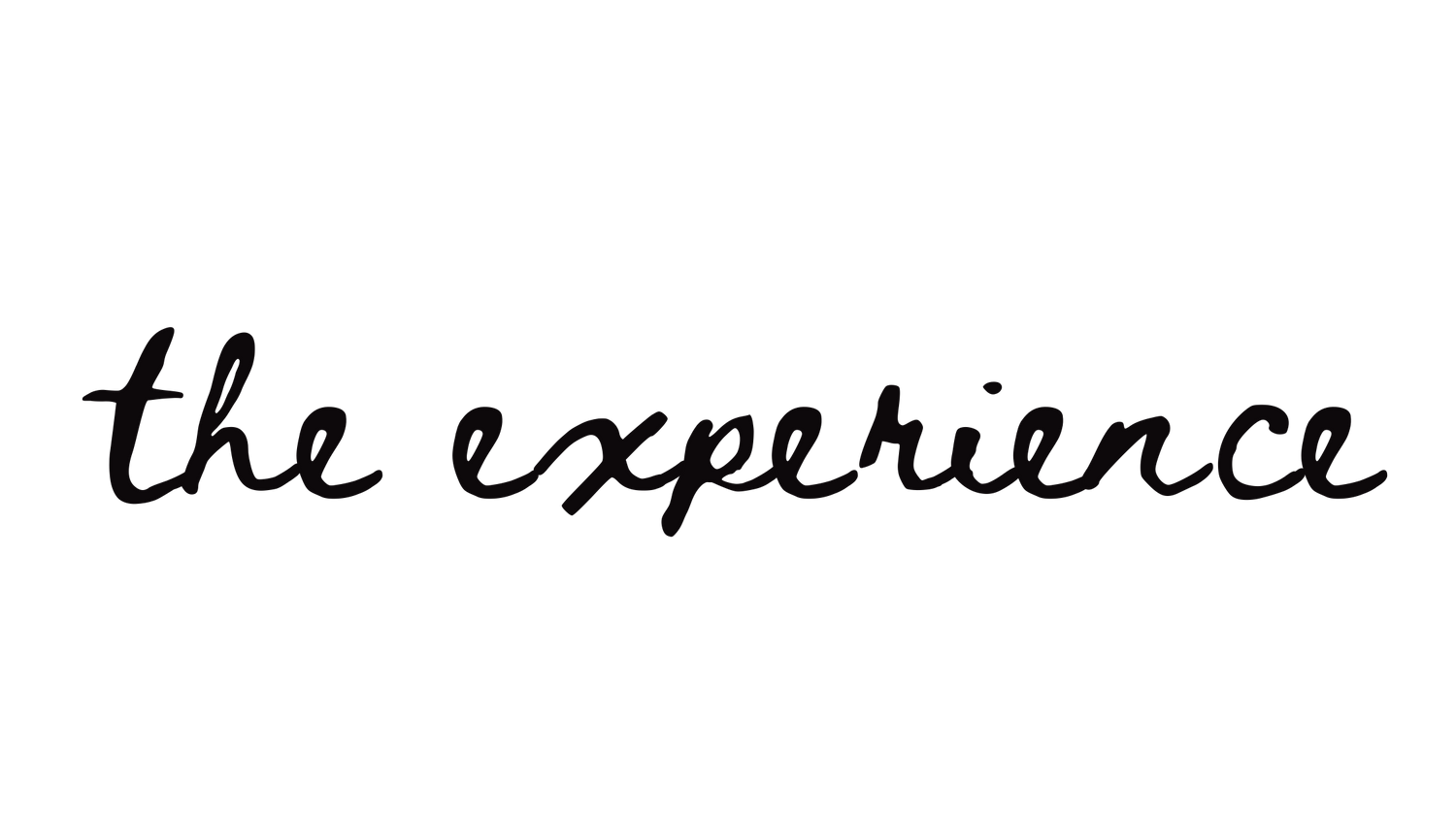 Black text reading 'the experience' on a dark background.