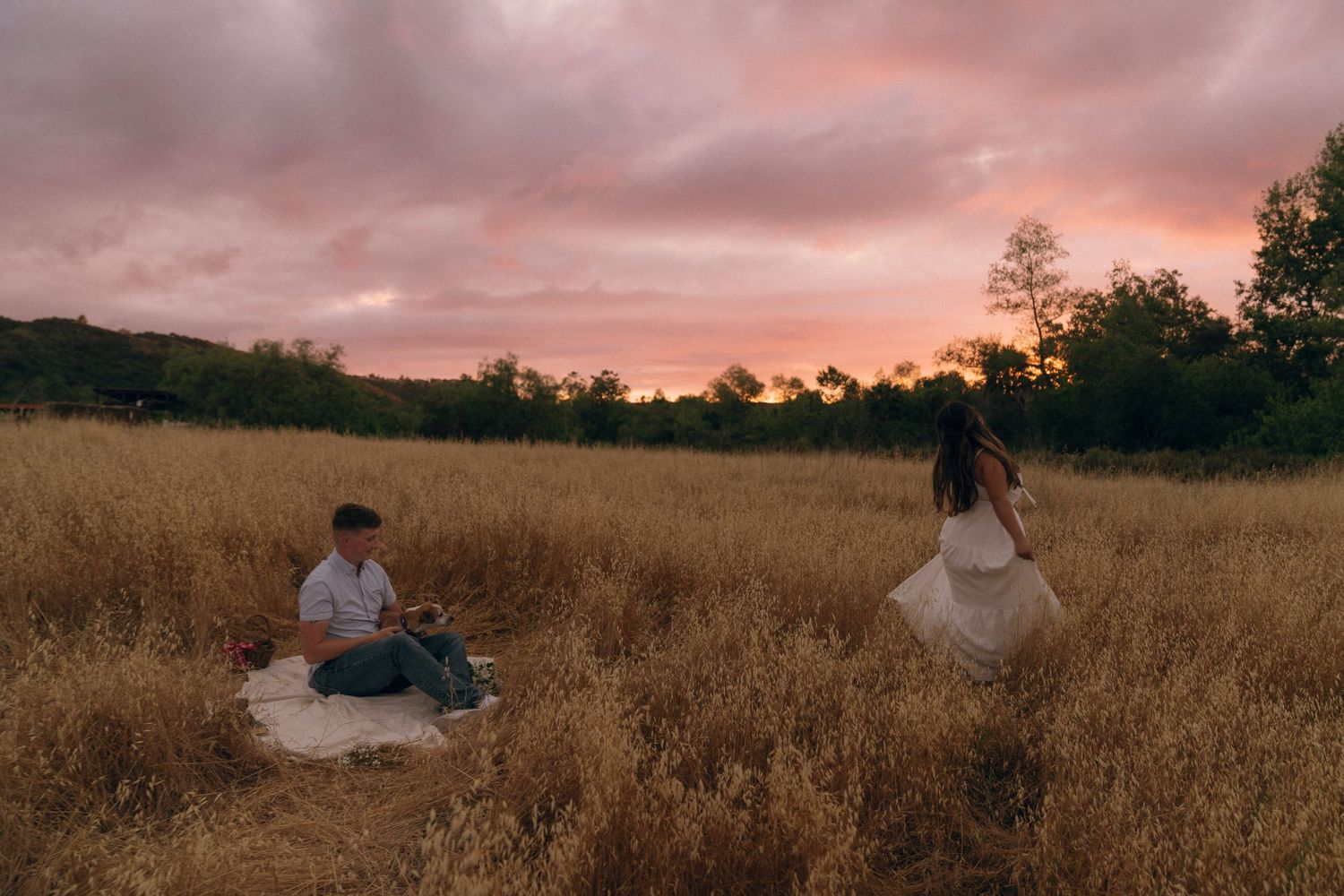 Couple enjoying a romantic sunset picnic in a golden field with pink cloudy sky and trees in background.