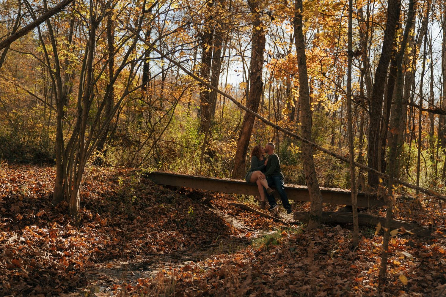 Autumn hiking trail through wooded forest with fallen leaves covering the ground.