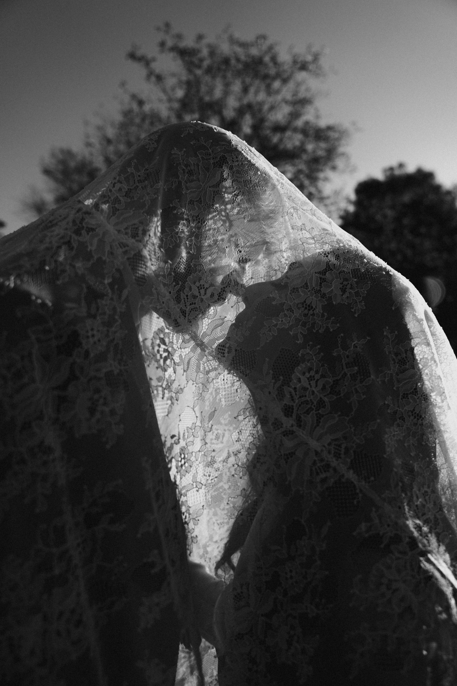 Artistic black and white photograph of spider web detail with sunlight filtering through.