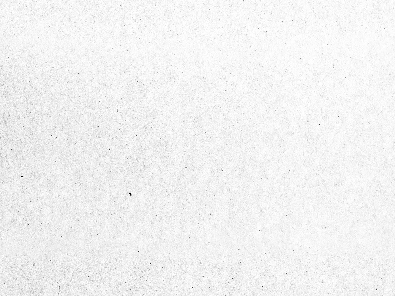 Textured white paper background with subtle grainy pattern.