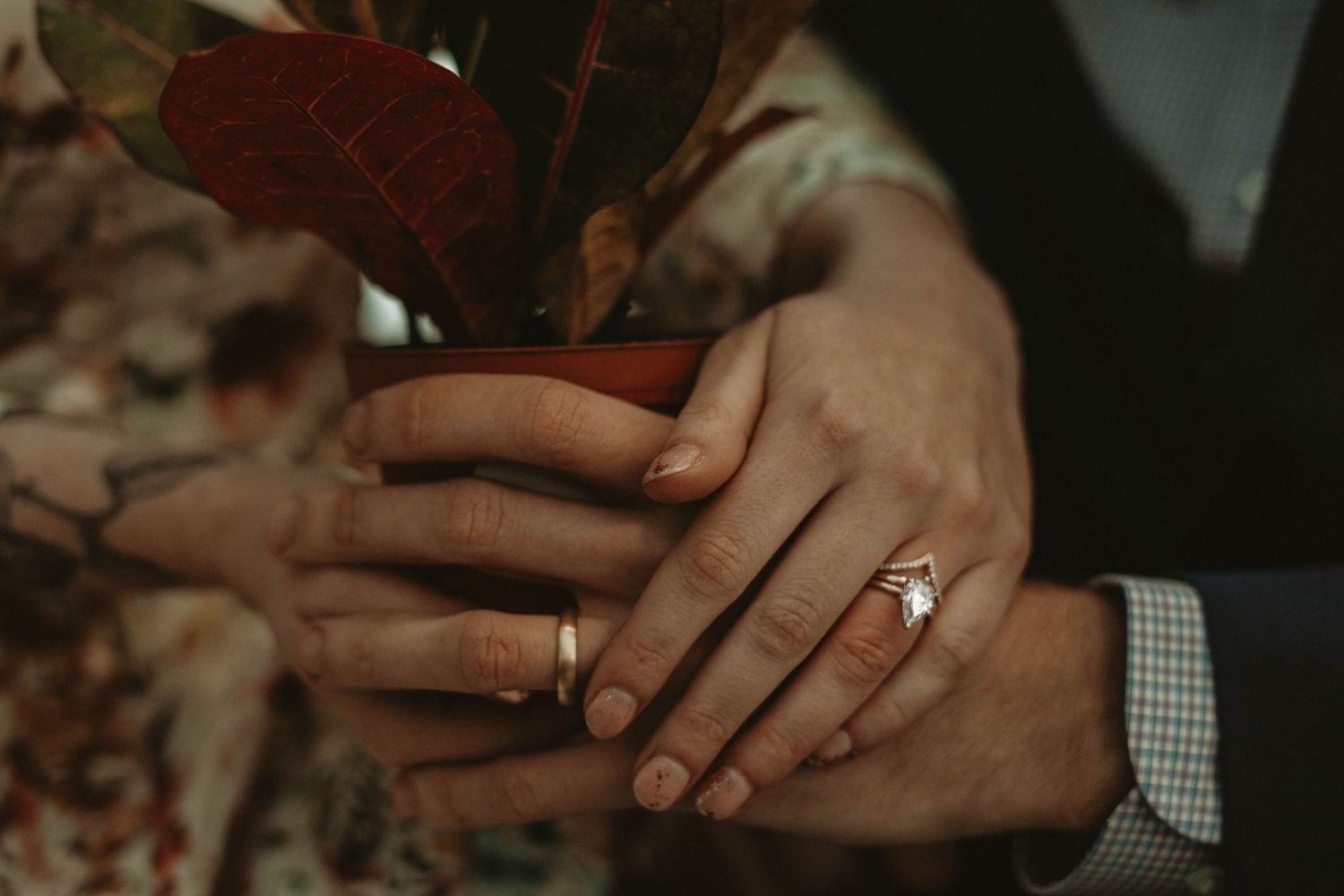 Close-up of hands wearing wedding rings holding autumn leaves with rich red tones.
