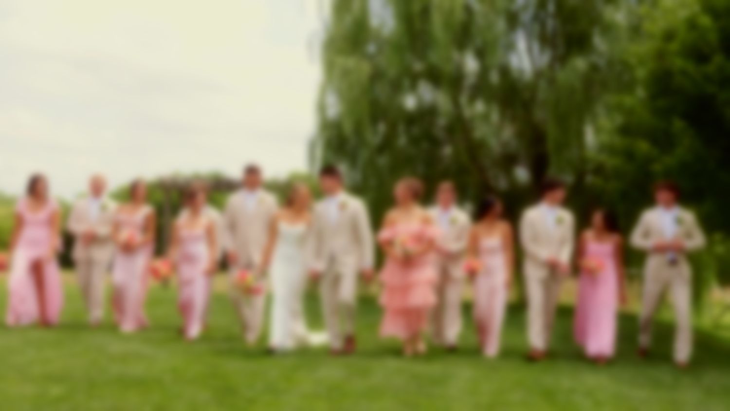Blurry wedding party lineup outdoors with people wearing pink and white formal attire on green lawn.