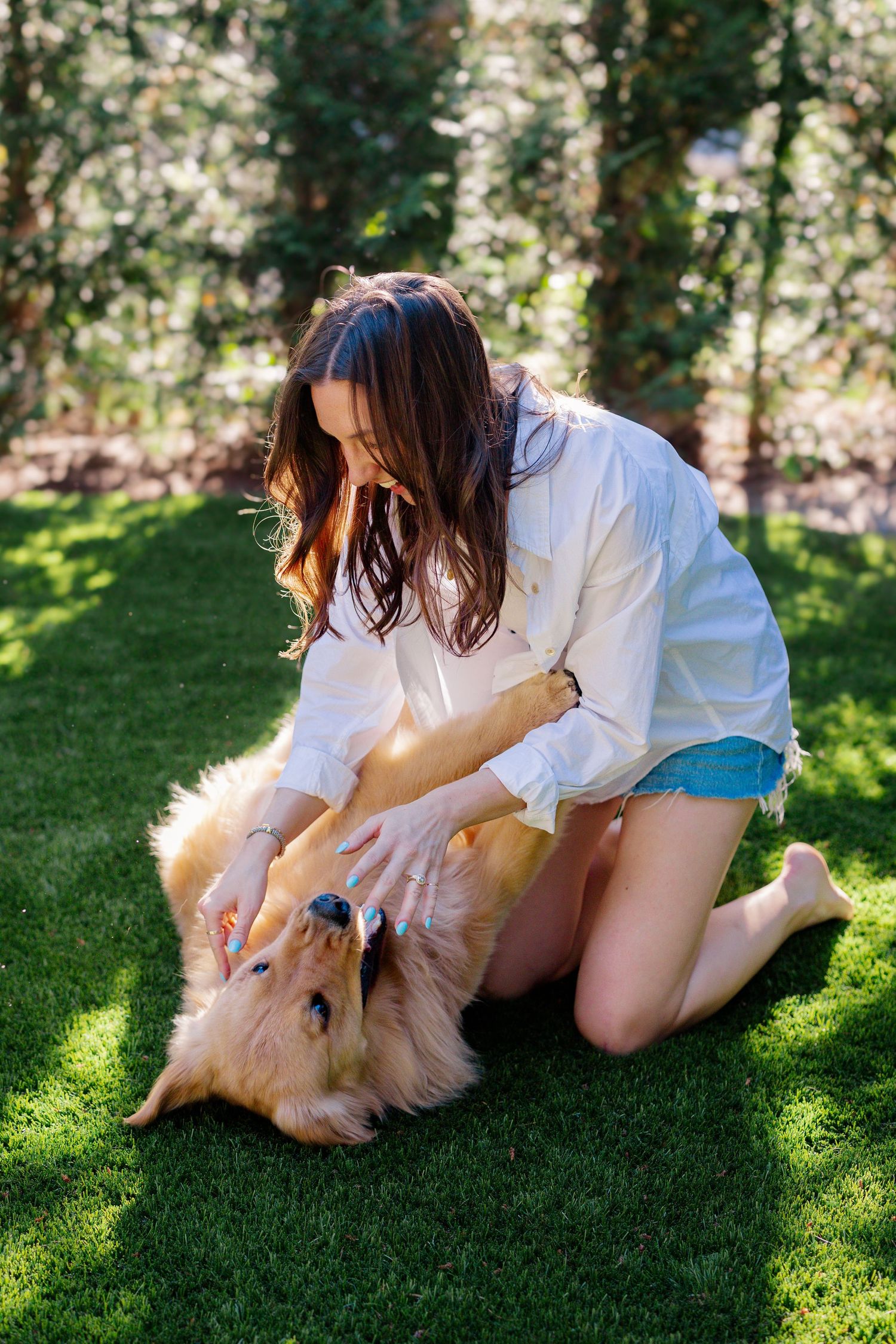 A playful moment between a person and their golden retriever dog on sunny green grass.