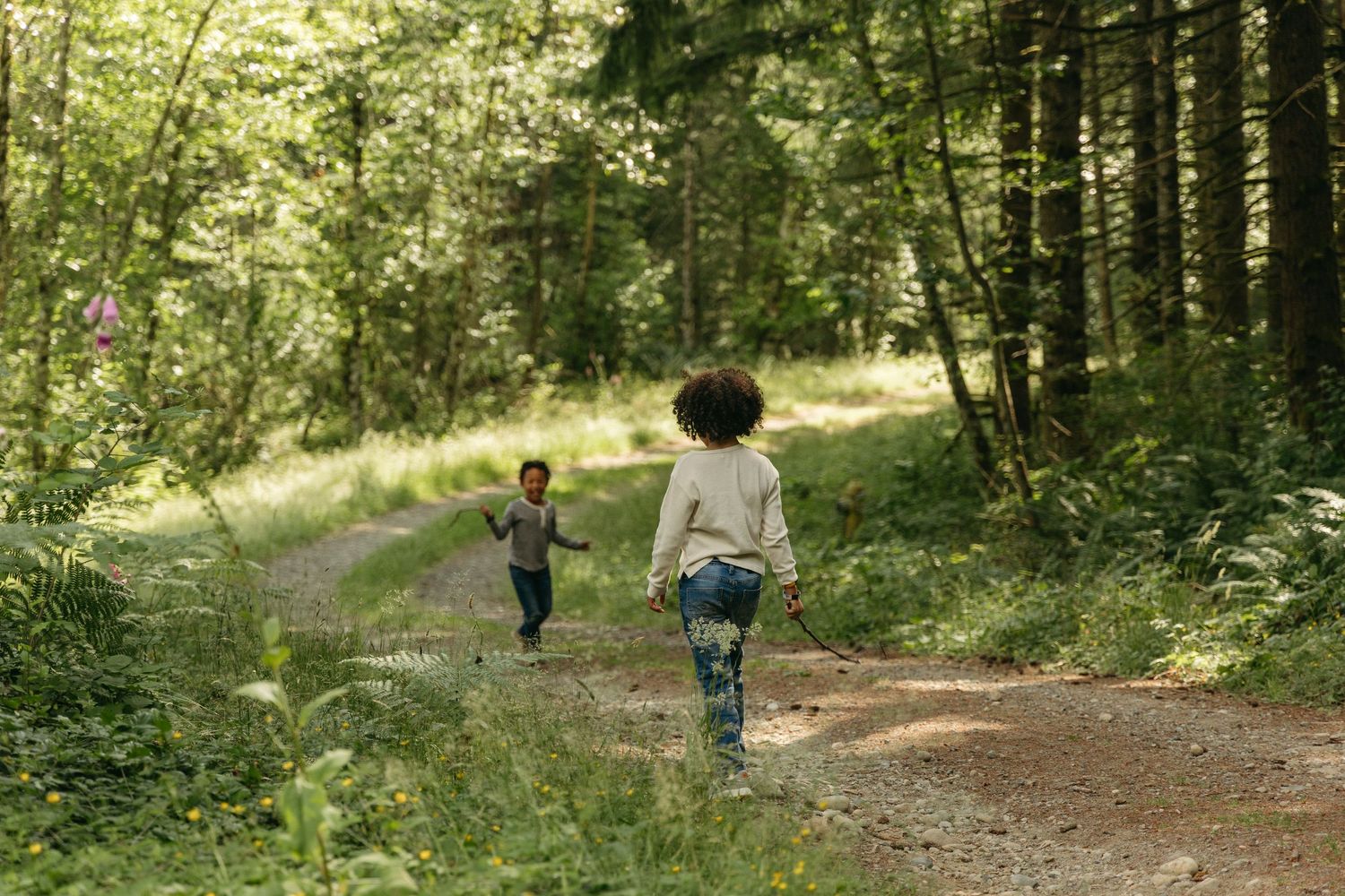 Two people walking along a scenic forest trail surrounded by lush green trees on a sunny day.