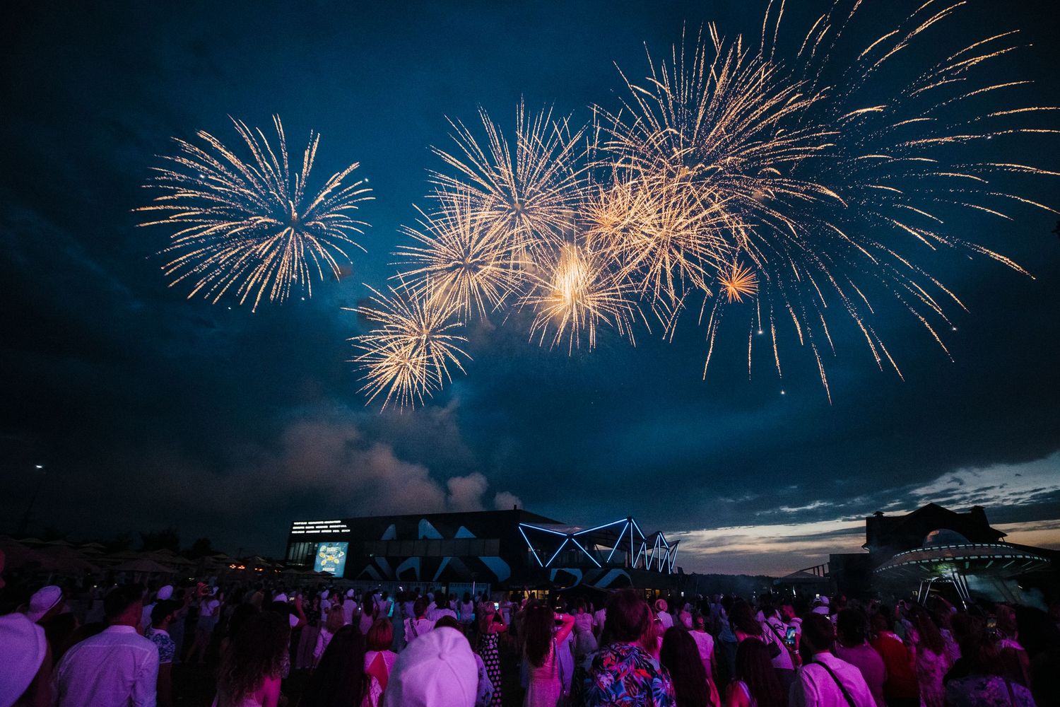 Fireworks display lighting up night sky over crowd at outdoor event.