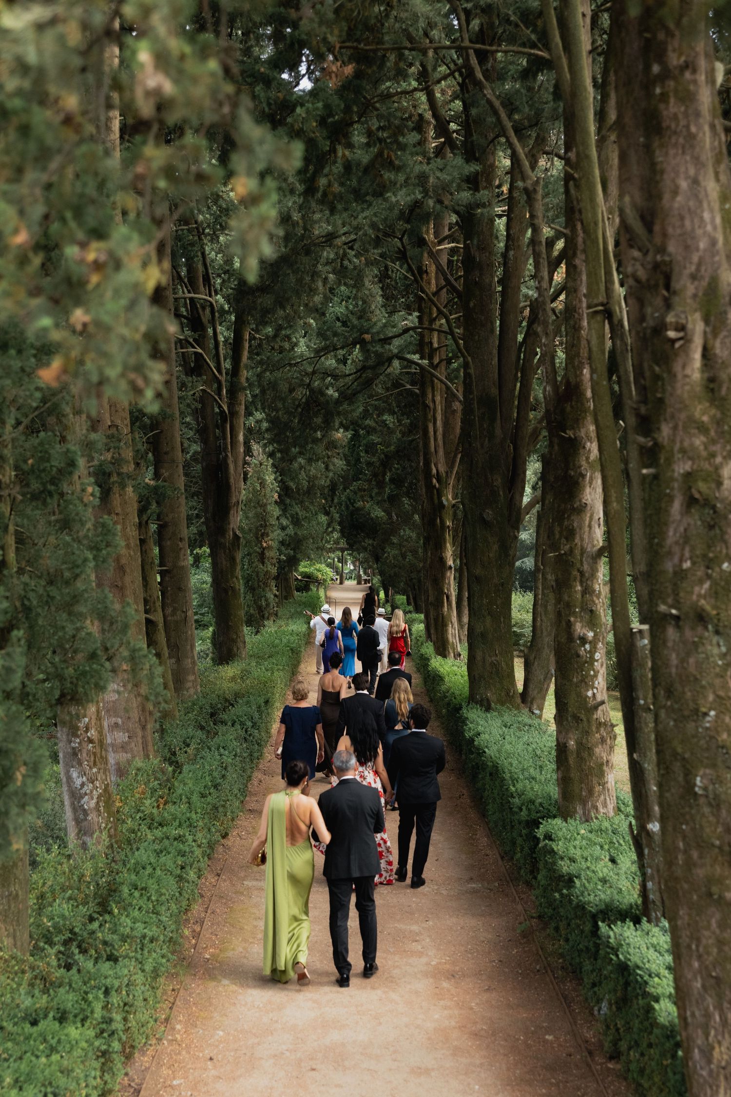 Wedding guests walk down a tree-lined path at an outdoor venue surrounded by tall evergreen trees.