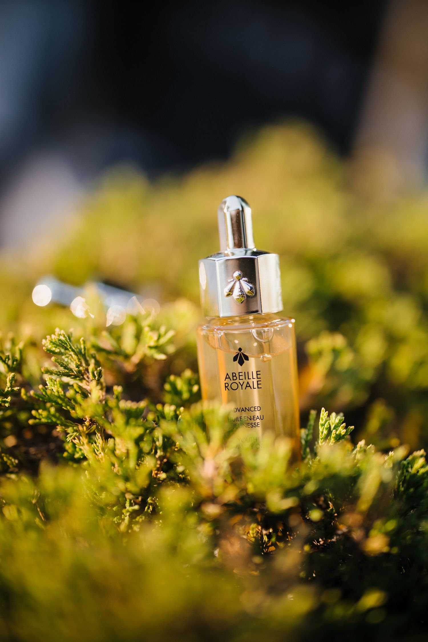 Abeille Royale beauty serum bottle photographed among green foliage in natural sunlight.