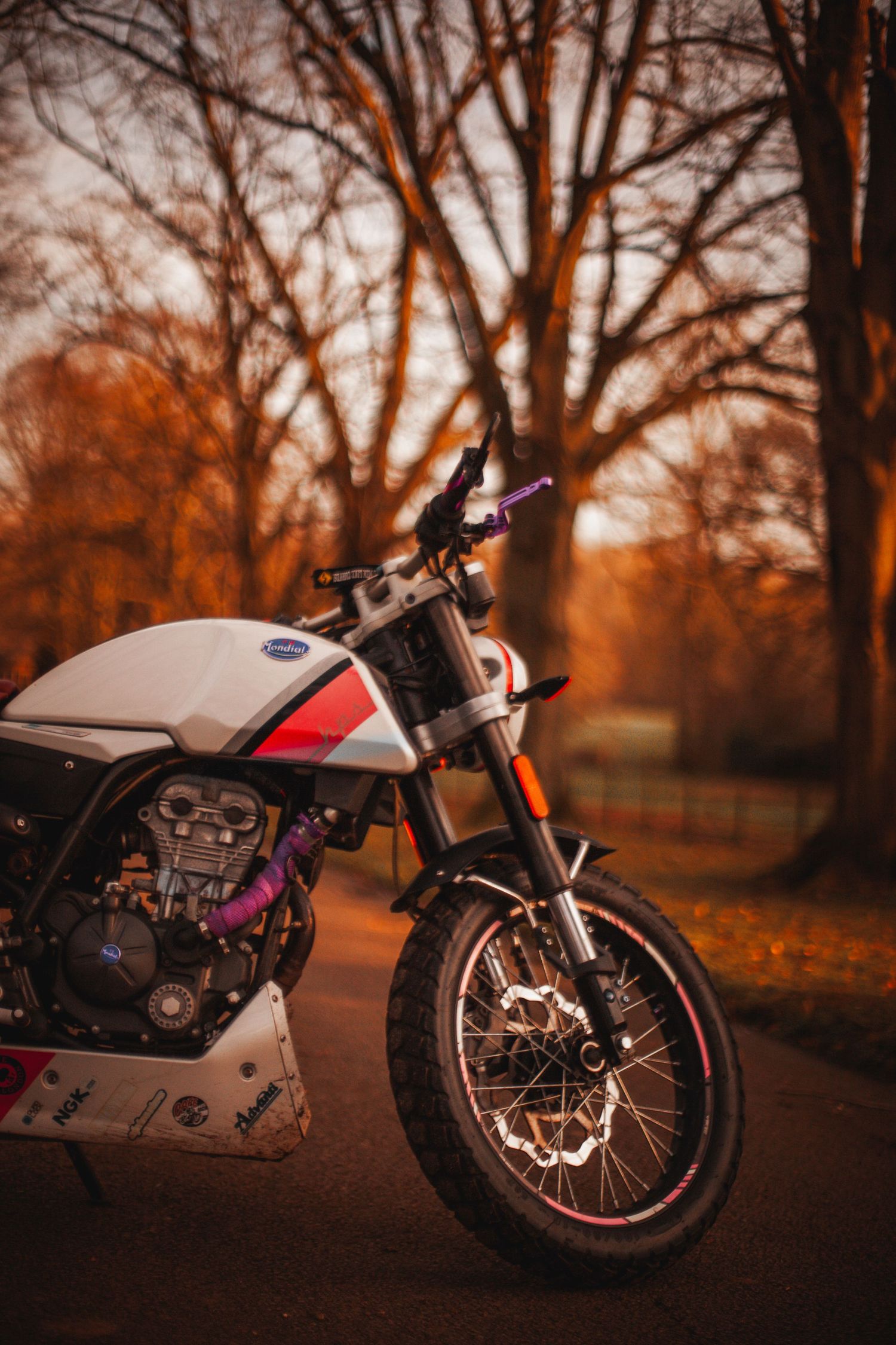Custom motorcycle with white and red bodywork photographed at sunset against bare trees in autumn.