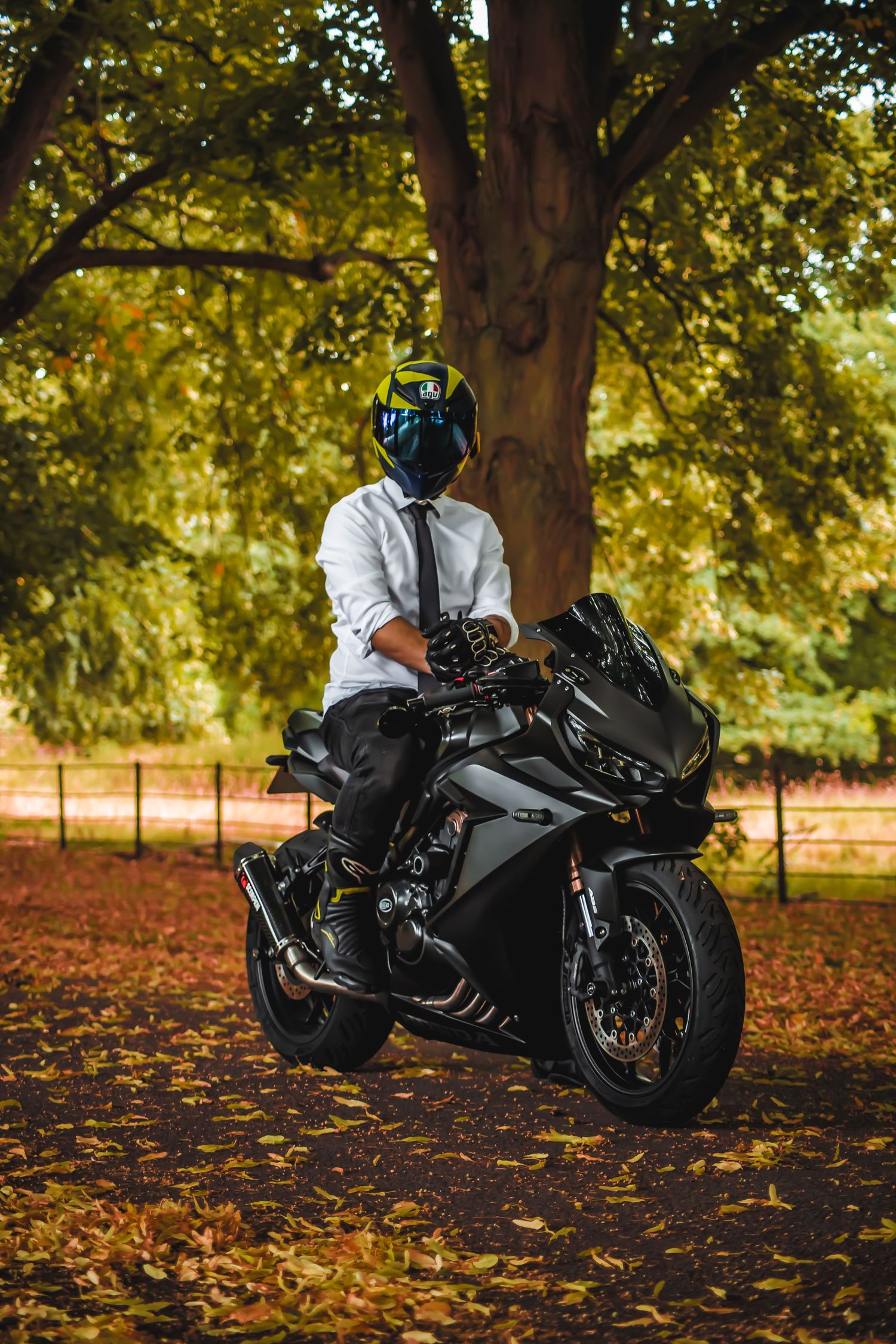 Black sports motorcycle parked on autumn leaves under trees in golden evening light with rider in white and black gear.
