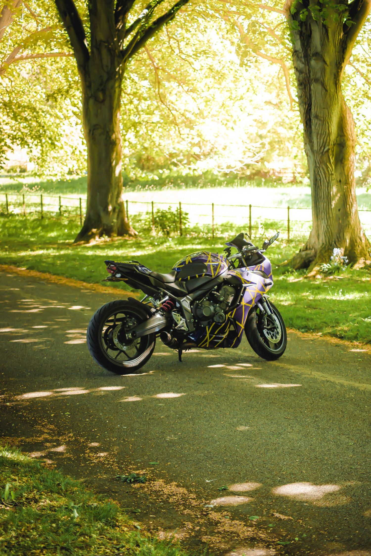 Sleek sport motorcycle parked on a tree-lined road with golden sunlight filtering through leaves.