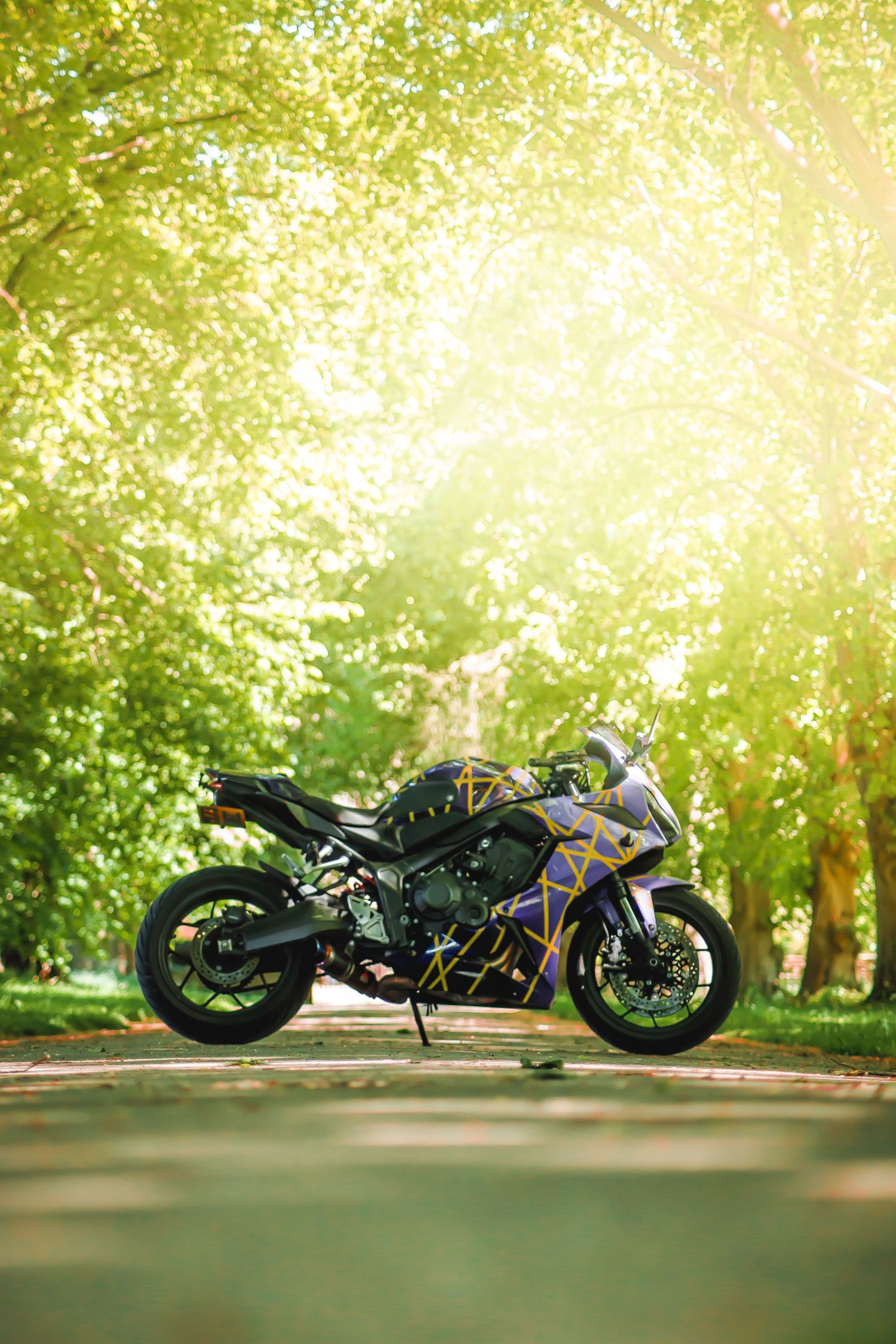 Custom motorcycle photographed in a sunlit forest setting with multiple angles showing its sleek design and details.