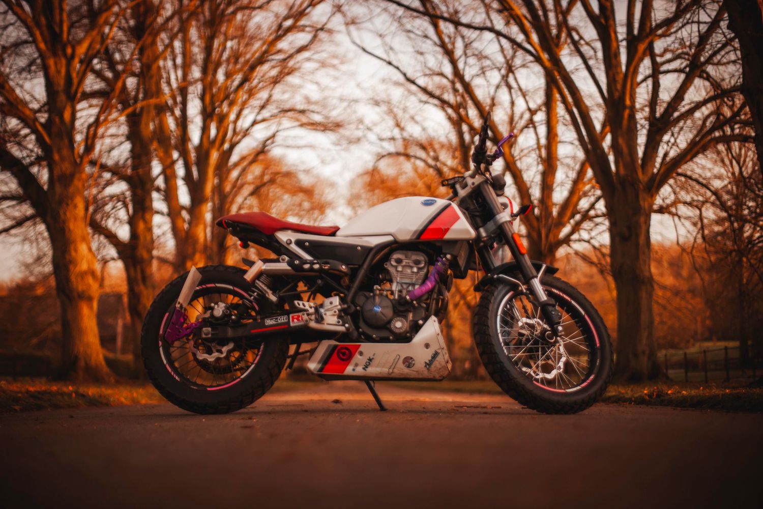 Custom red and black motorcycle parked at sunset with autumn trees silhouetted in the background.
