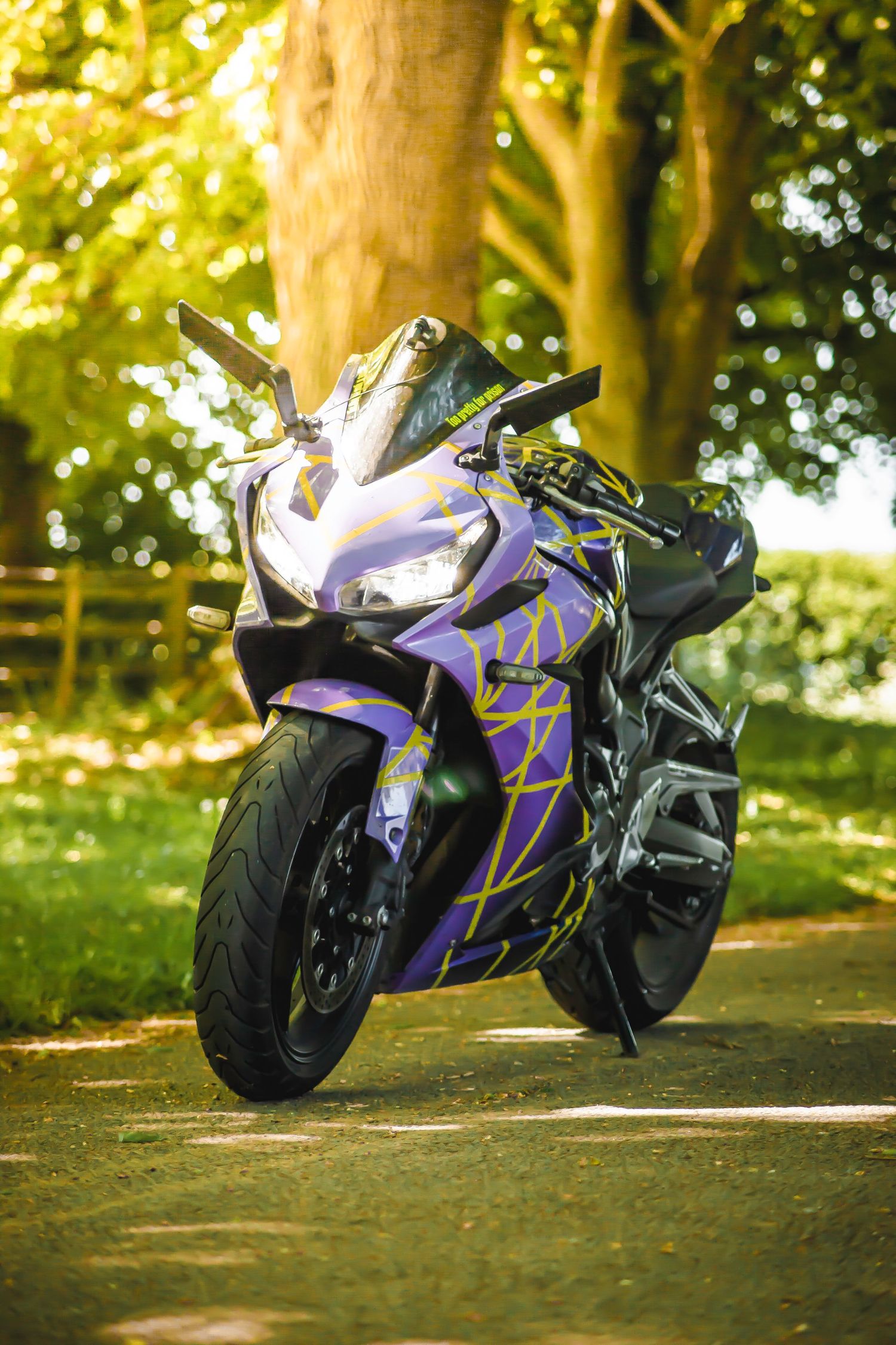 A purple and black sportbike motorcycle parked in a sunlit forest setting with trees in the background.