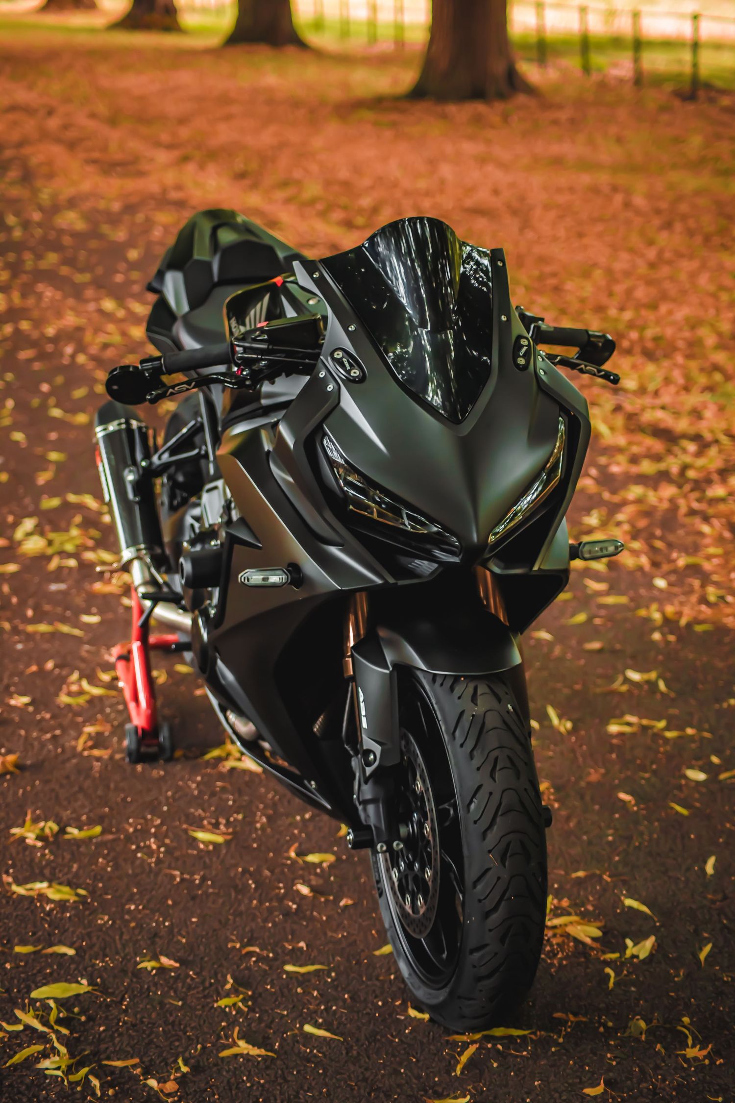 Sleek black sports motorcycle parked on autumn ground covered with fallen yellow leaves.