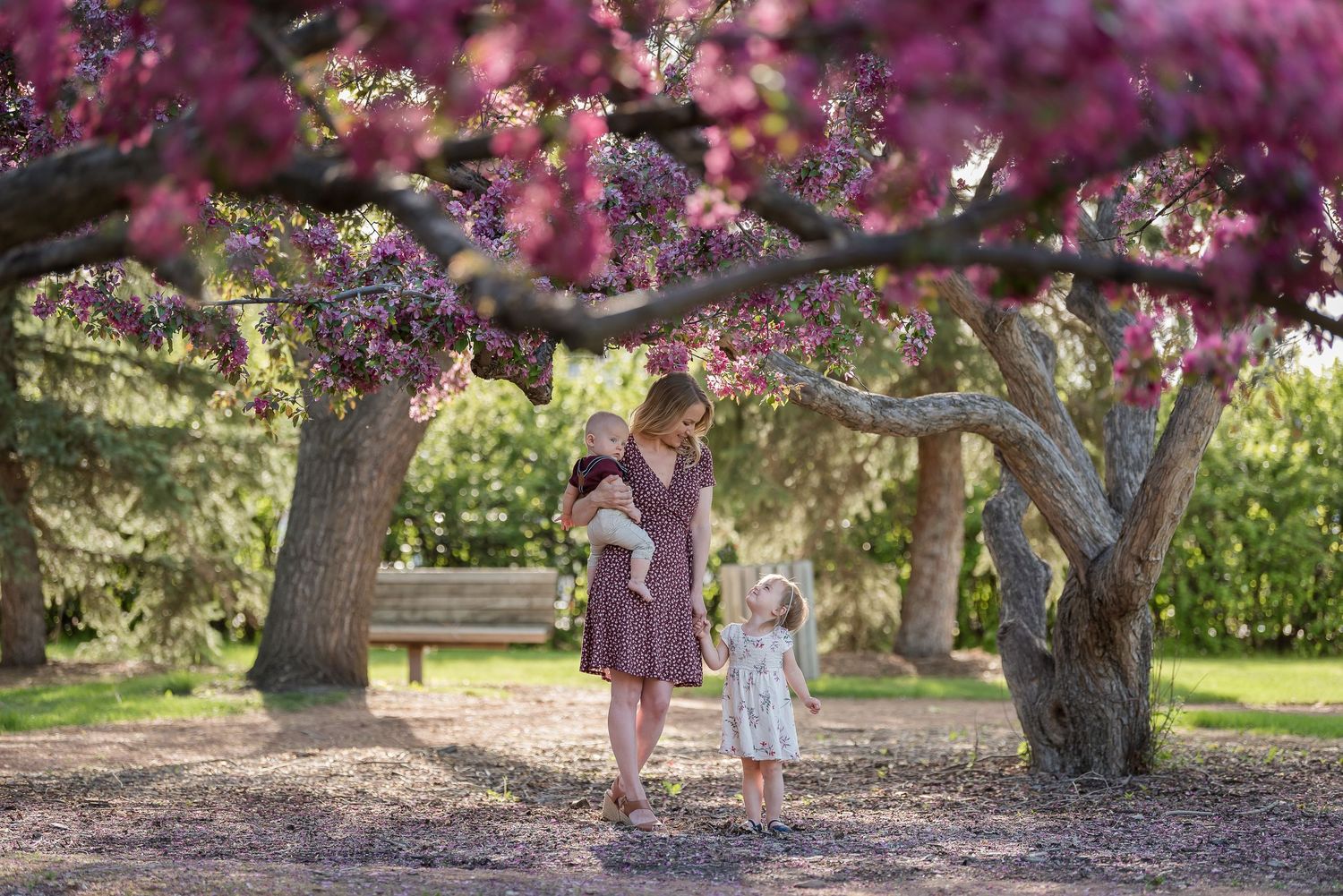 Mother and child walking beneath vibrant pink flowering trees in spring.