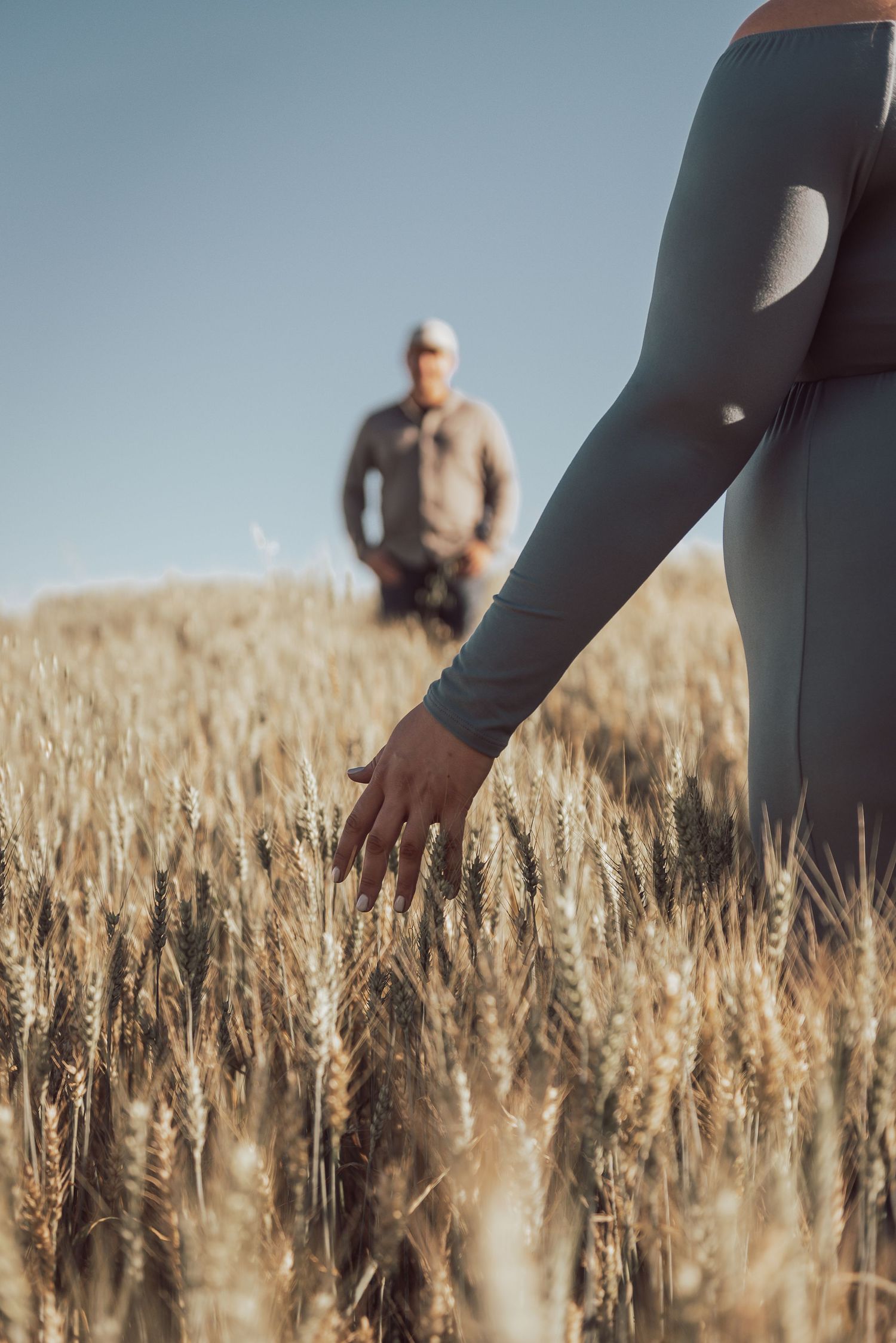 A hand reaches to touch wheat stalks in a golden field with a figure in the background.
