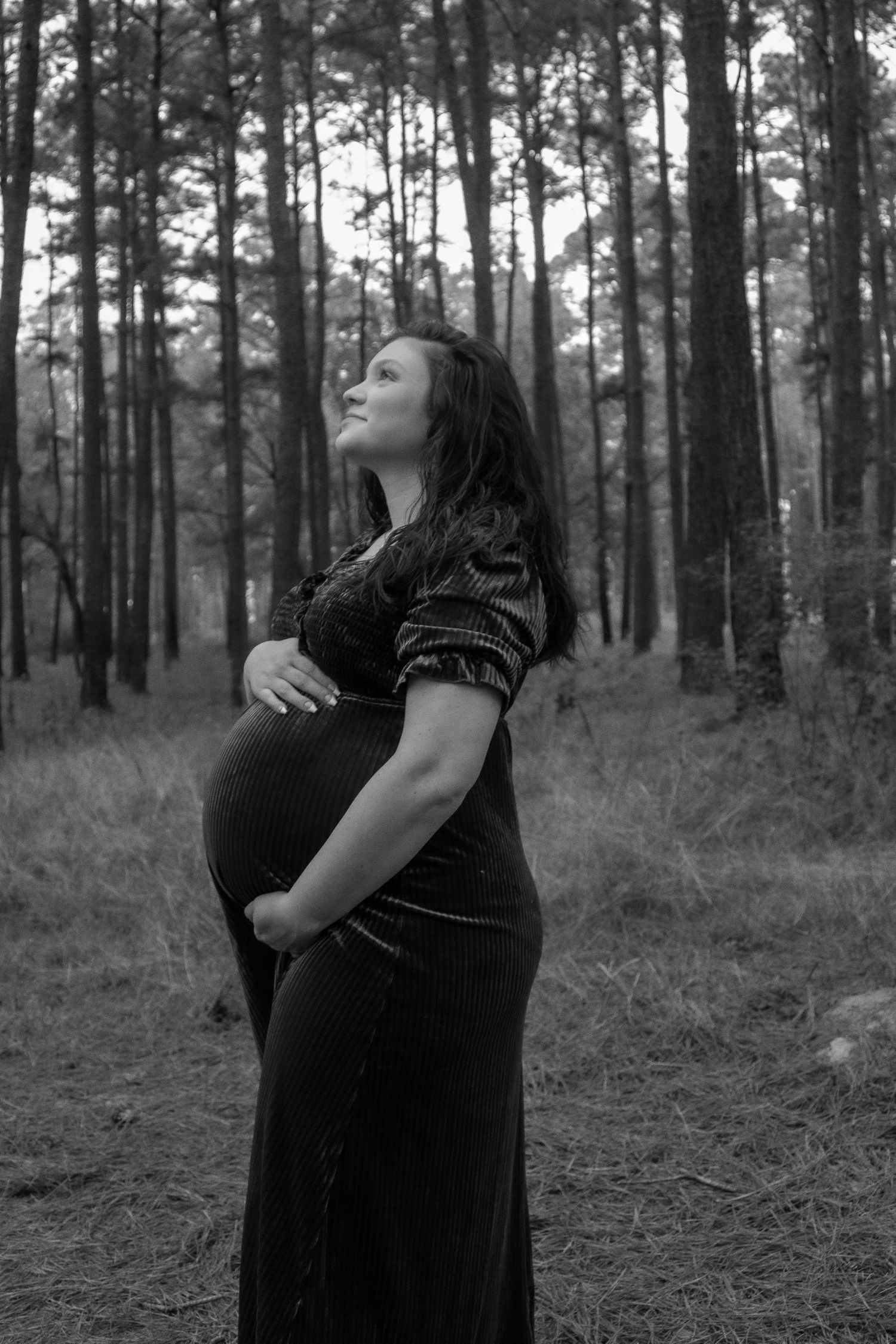 Silhouette of pregnant woman in long dress standing among pine trees.