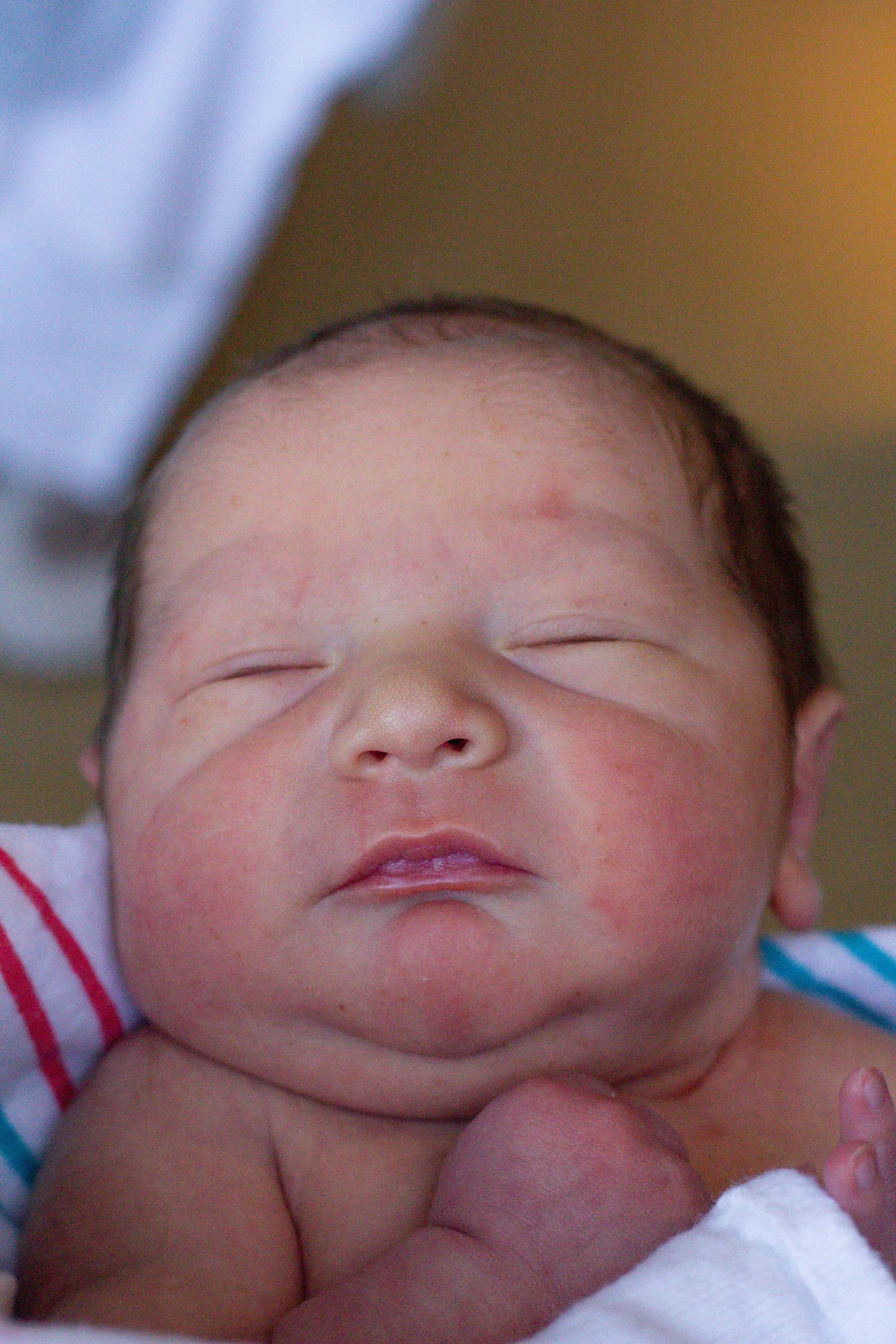 Close-up portrait of a sleeping newborn baby with rosy cheeks.