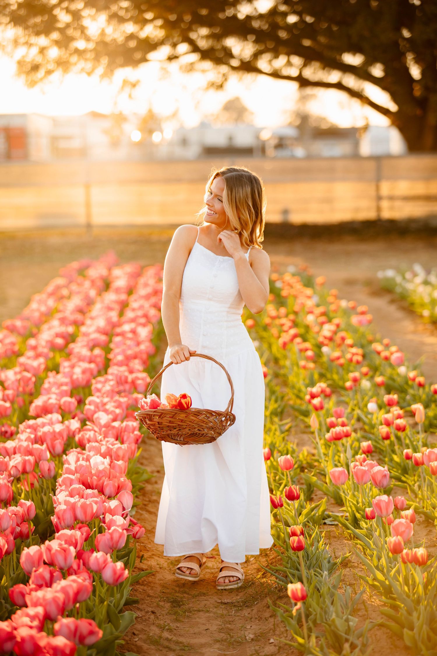A person in a white dress walks through rows of pink tulips at sunset while carrying a woven basket.