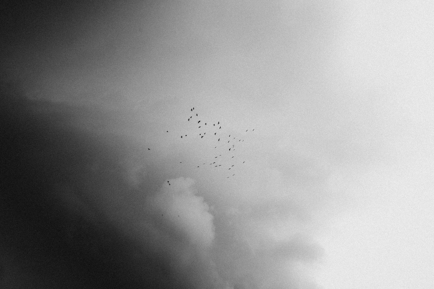 Moody grayscale skyscape with soft clouds and subtle gradients.