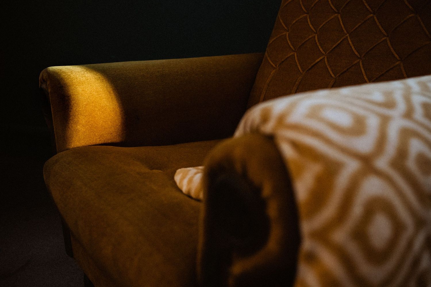 Moody lighting on brown leather armchair with patterned pillow.