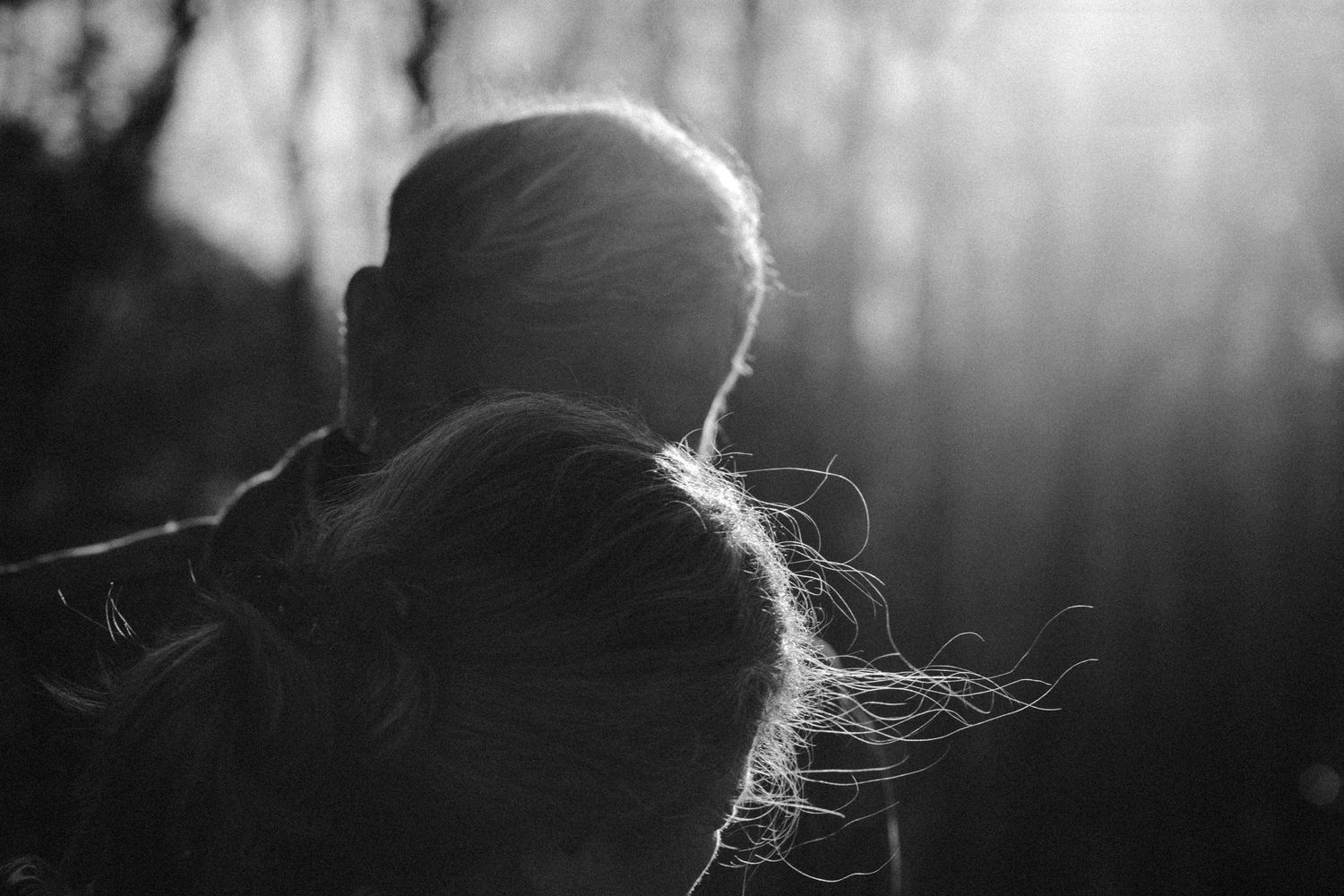 Silhouetted figures backlit by sunlight through trees creating dramatic contrast.