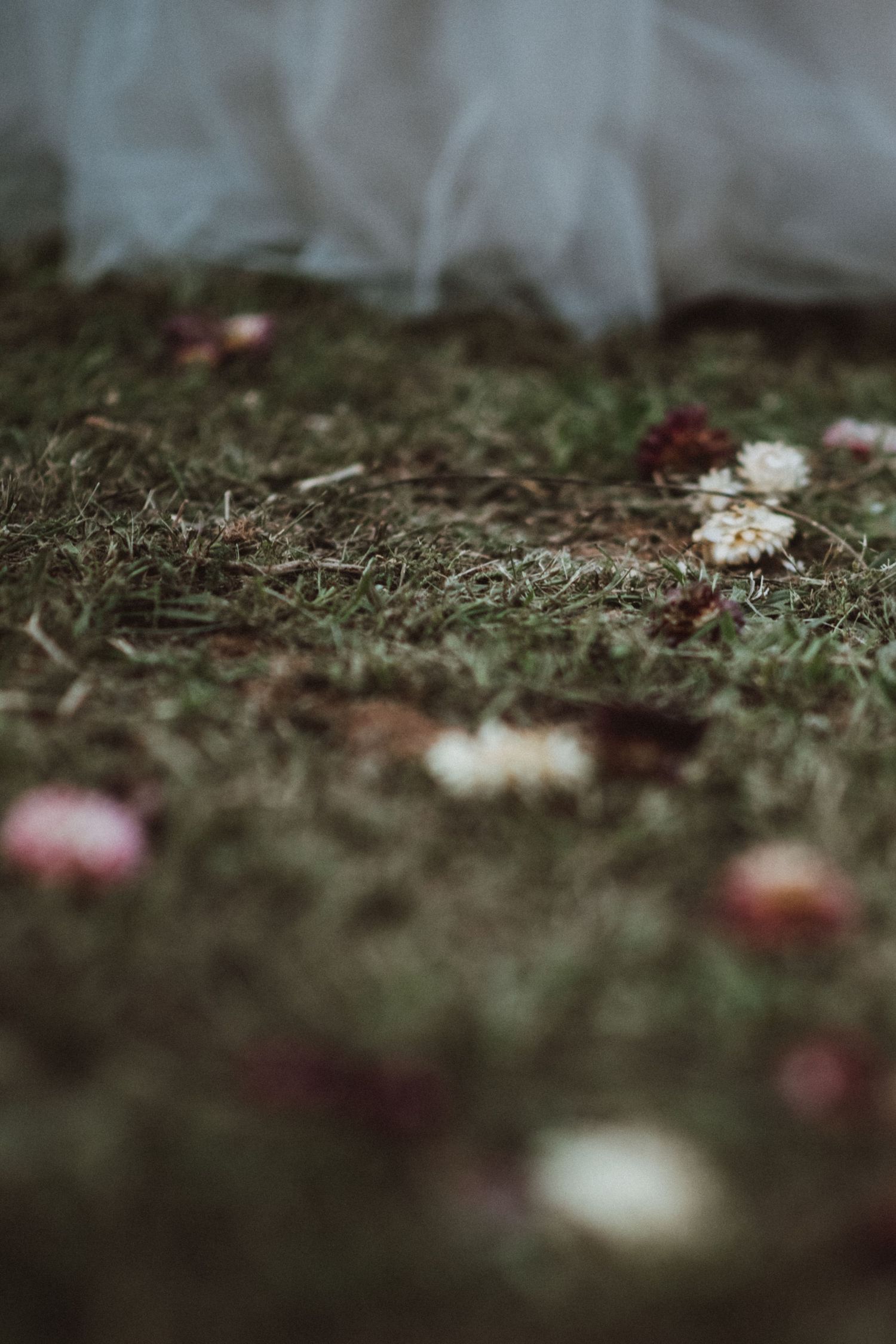Scattered flower petals on grass with white fabric in soft focus background.