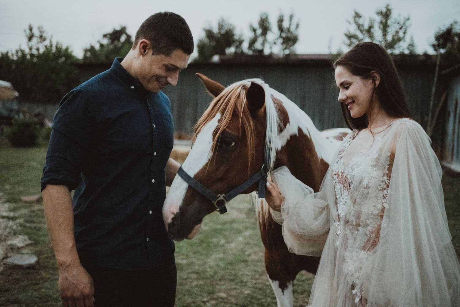 Wedding couple shares a moment with a paint horse in a rustic farm setting.