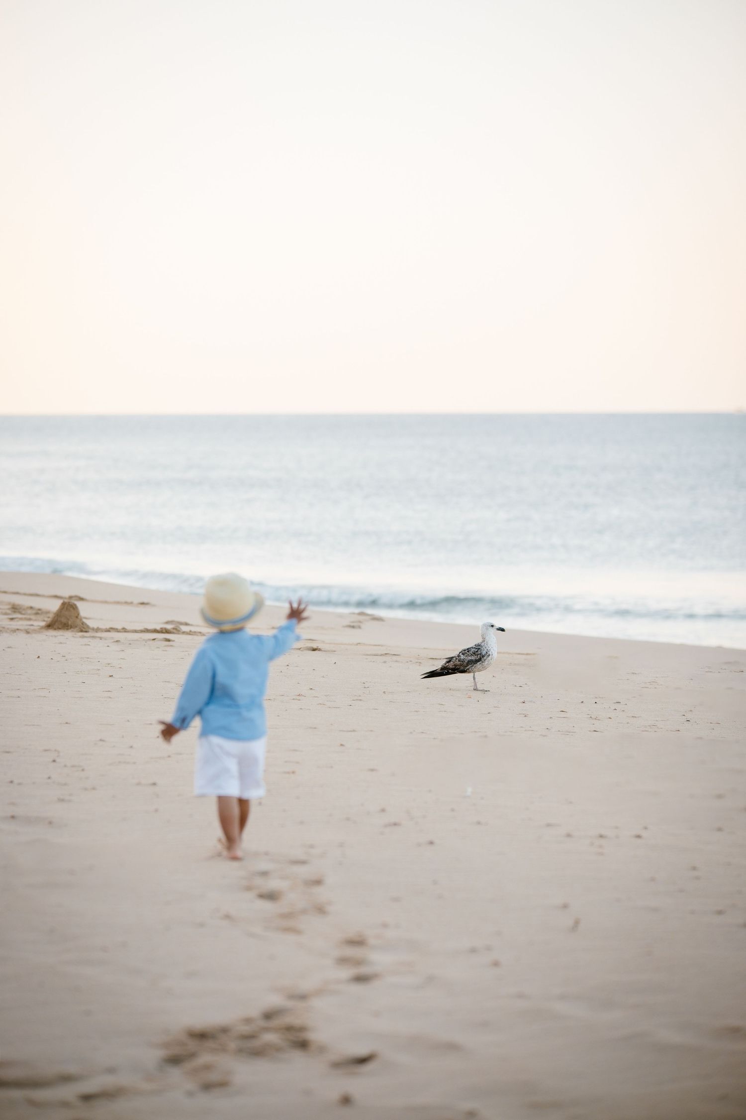 small boy waving to a bird on the beach